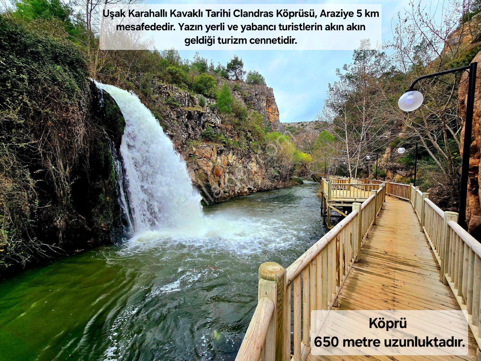 Uşak Karahallı Kavaklı'da Köyiçi 4505 M² Çiftlik İmarlı 110m² Villa Yapılabilir. Açıklamayı Okuyunuz - Görsel 30