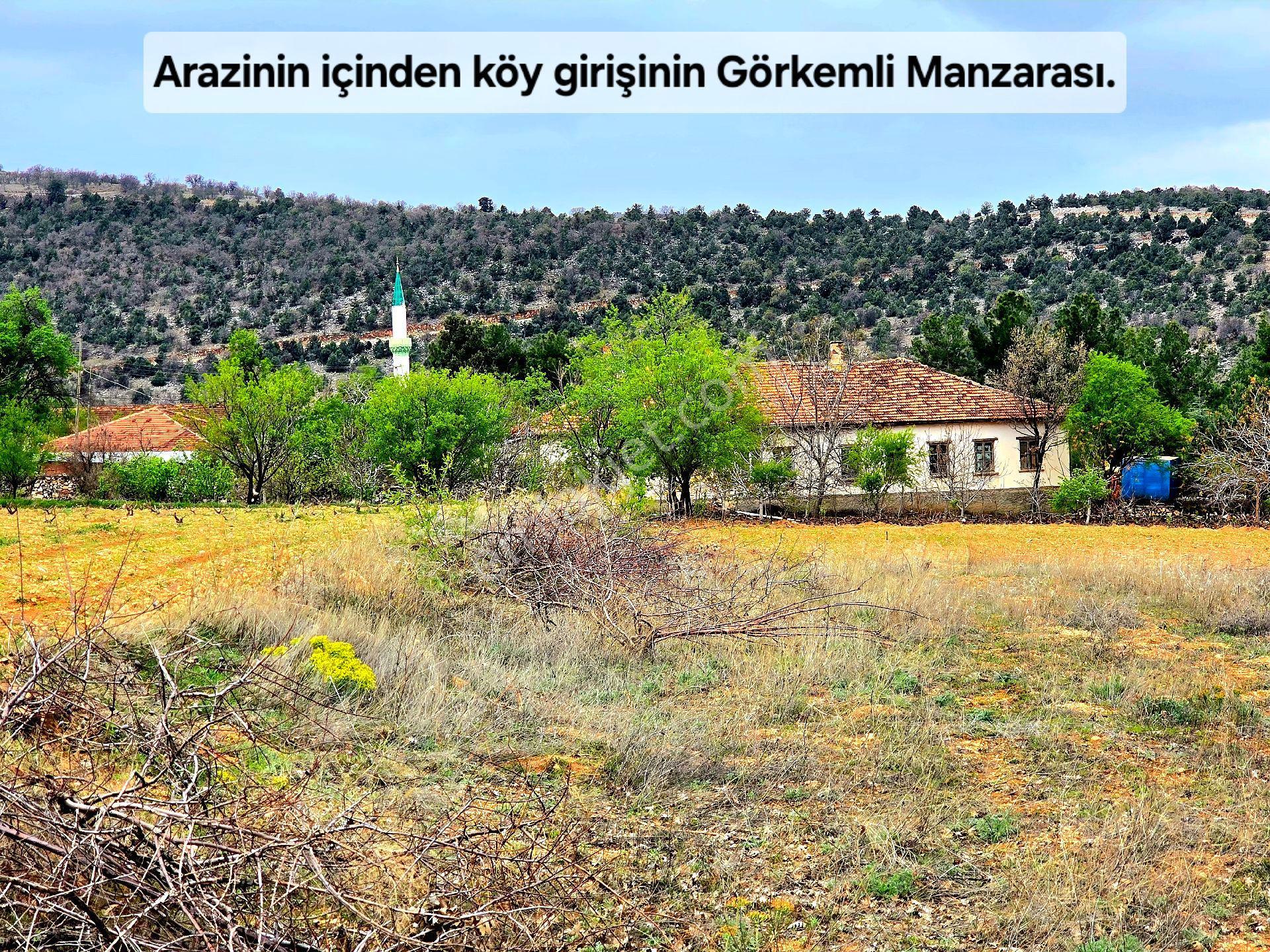 Uşak Karahallı Kavaklı'da Köyiçi 4505 M² Çiftlik İmarlı 110m² Villa Yapılabilir. Açıklamayı Okuyunuz - Görsel 13