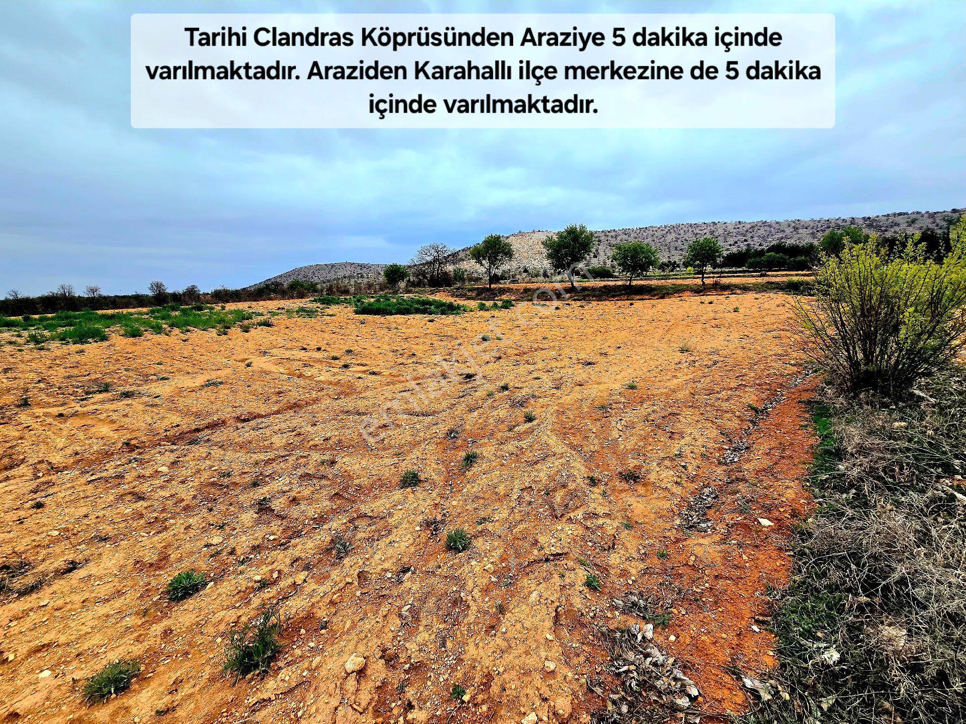 Uşak Karahallı Kavaklı'da Köyiçi 4505 M² Çiftlik İmarlı 110m² Villa Yapılabilir. Açıklamayı Okuyunuz - Görsel 16