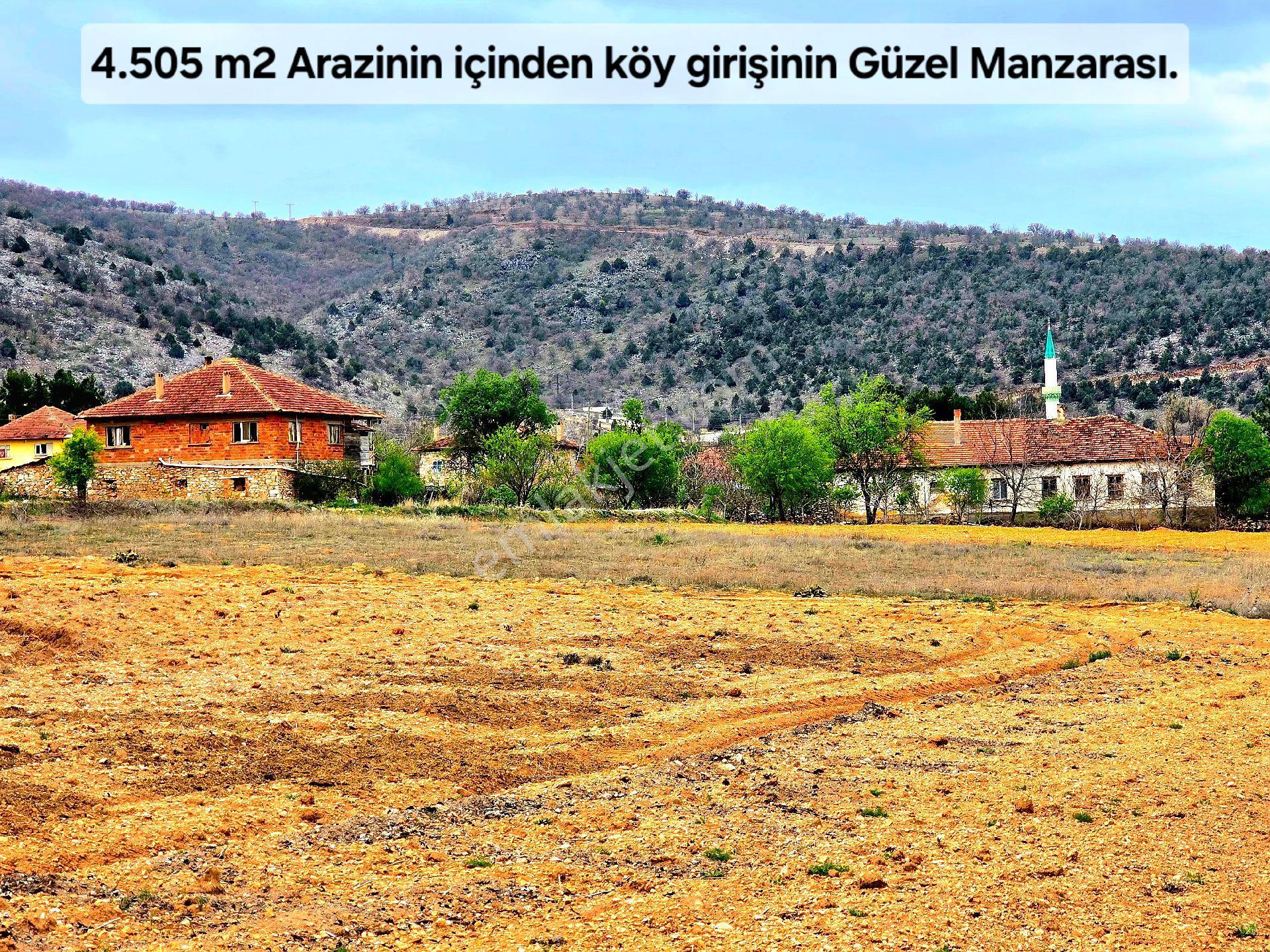 Uşak Karahallı Kavaklı'da Köyiçi 4505 M² Çiftlik İmarlı 110m² Villa Yapılabilir. Açıklamayı Okuyunuz - Görsel 2