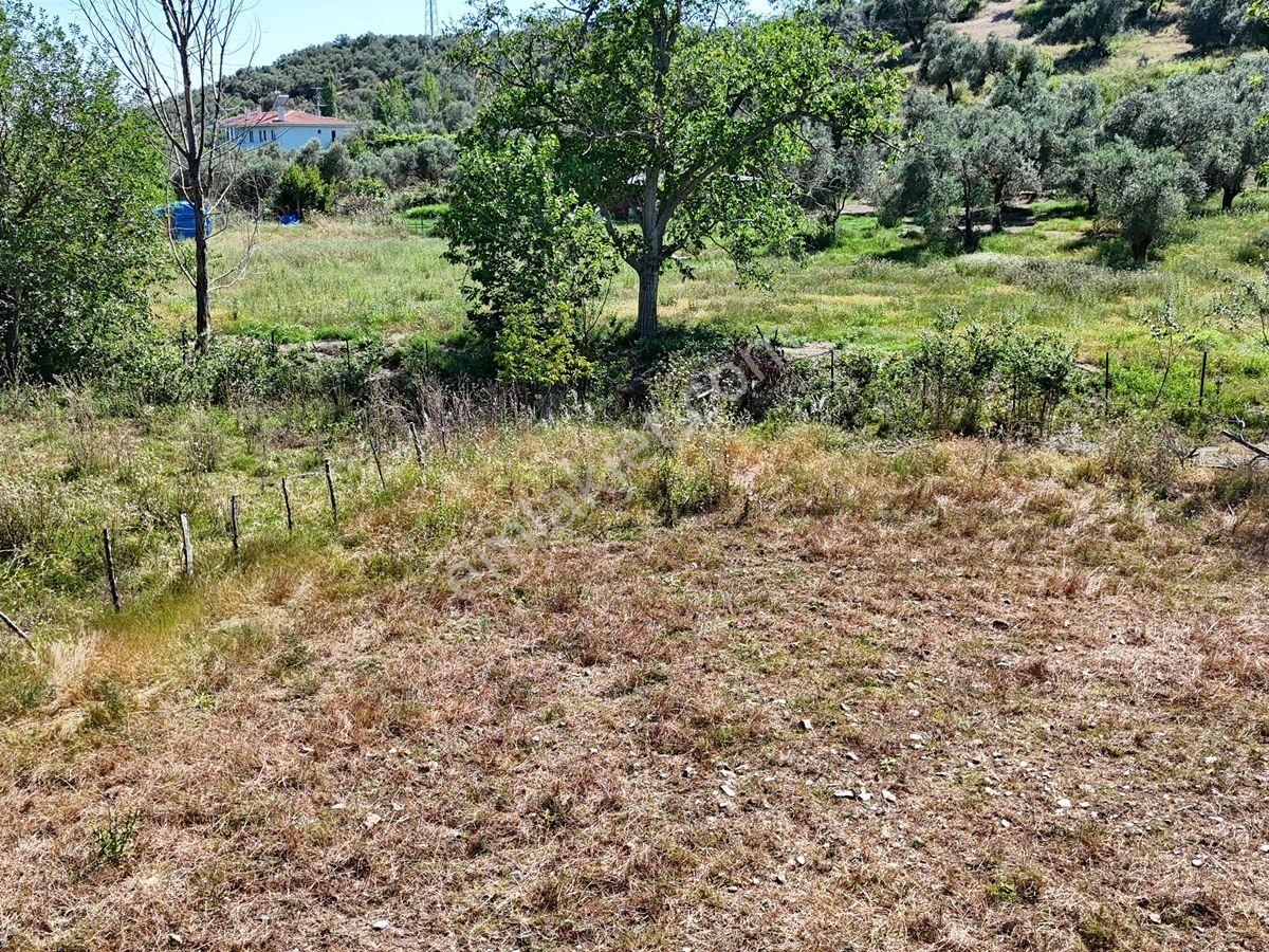 Küçükkuyu Mıhlı Çayı Kenarında Satılık 6685 M² Çiftlik | Yapı Kayıt Belgeli & Bungalova Uygun - Görsel 12