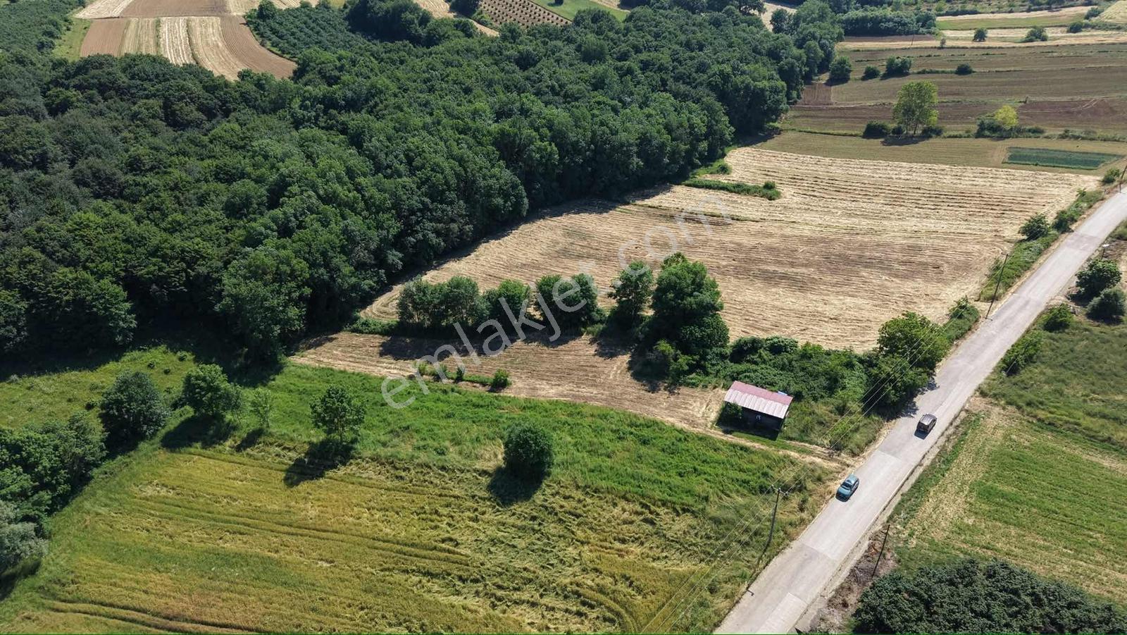 Plajlara 10 Km Mesafede 2 Dönüm %5 İmarlı Asfalt Cephe Arazi - Görsel 12