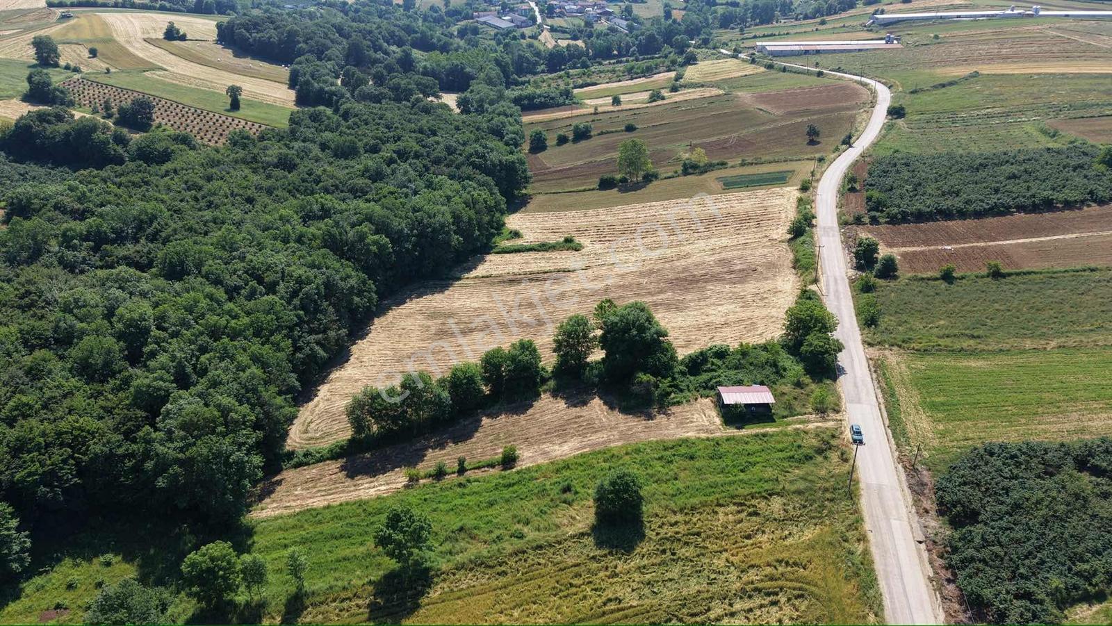Plajlara 10 Km Mesafede 2 Dönüm %5 İmarlı Asfalt Cephe Arazi - Görsel 15
