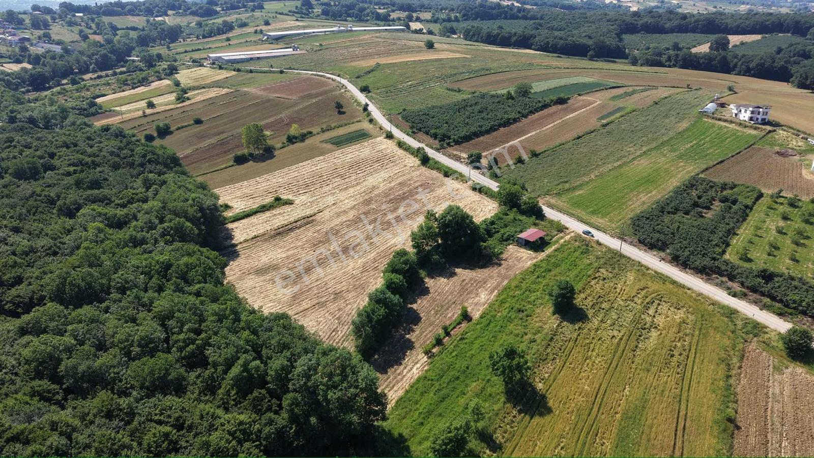 Plajlara 10 Km Mesafede 2 Dönüm %5 İmarlı Asfalt Cephe Arazi - Görsel 3