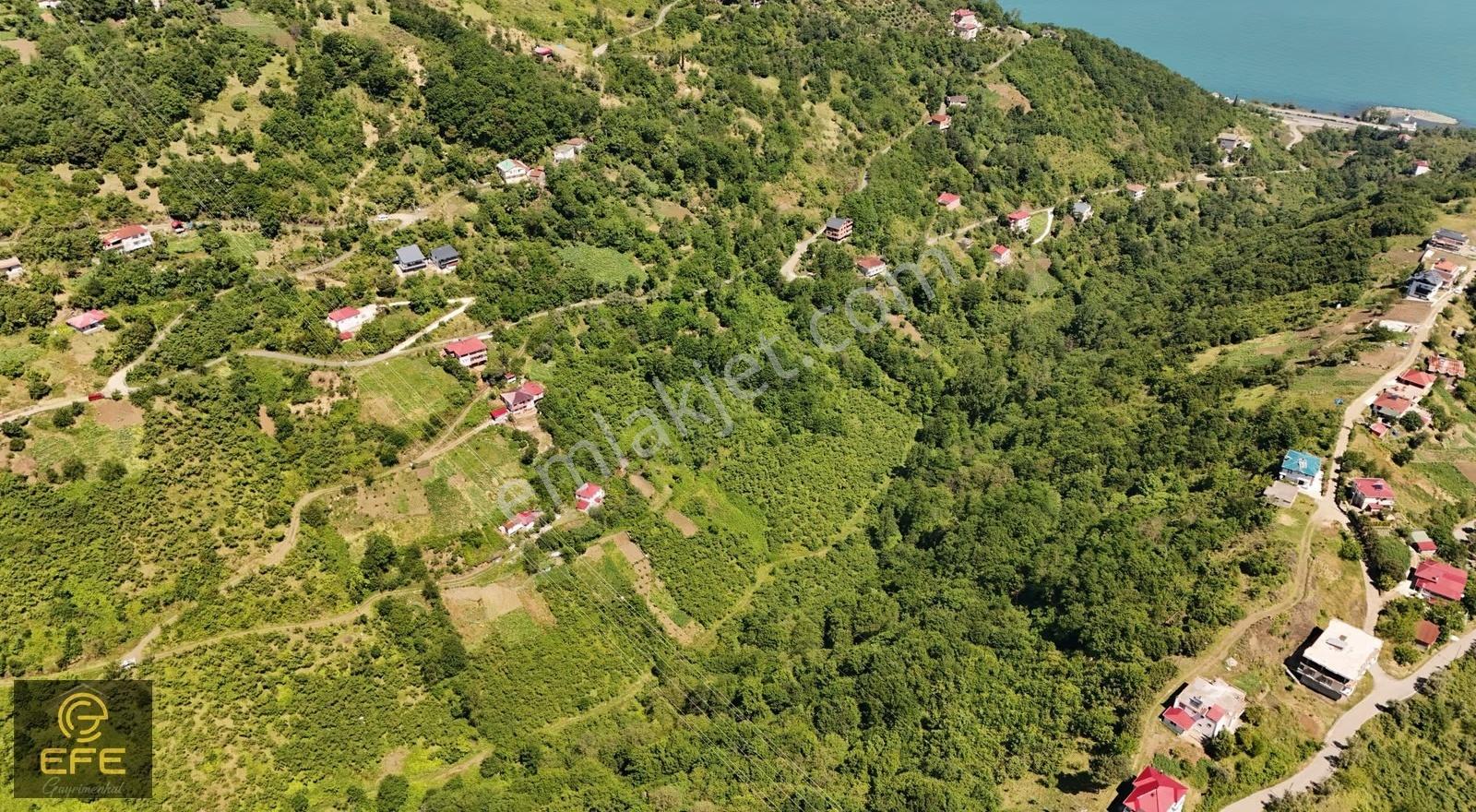 Efe Gayrimenkulden Mersinde Ana Yola Yakın Satılık Arsa - Görsel 13