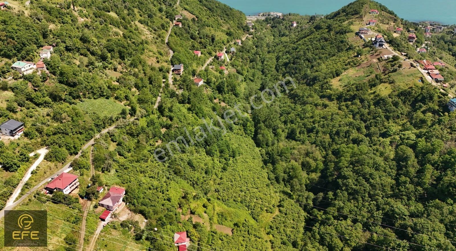 Efe Gayrimenkulden Mersinde Ana Yola Yakın Satılık Arsa - Görsel 5