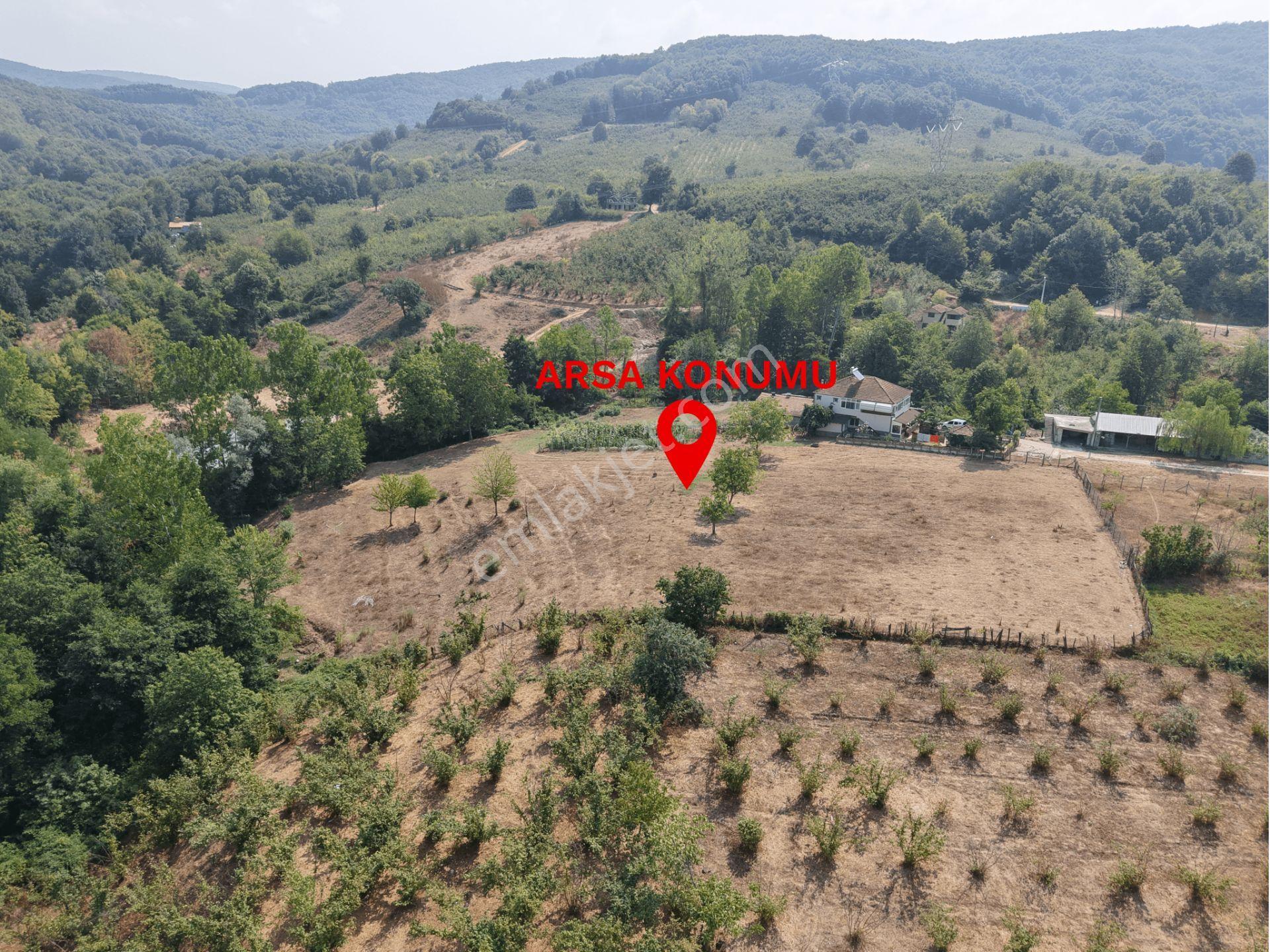 Düzce Merkez Musababa'da Satılık 1927m² İmarlı Arsa Hissesi - Görsel 11