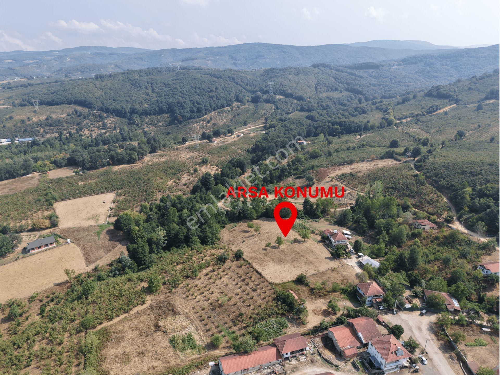 Düzce Merkez Musababa'da Satılık 1927m² İmarlı Arsa Hissesi - Görsel 8