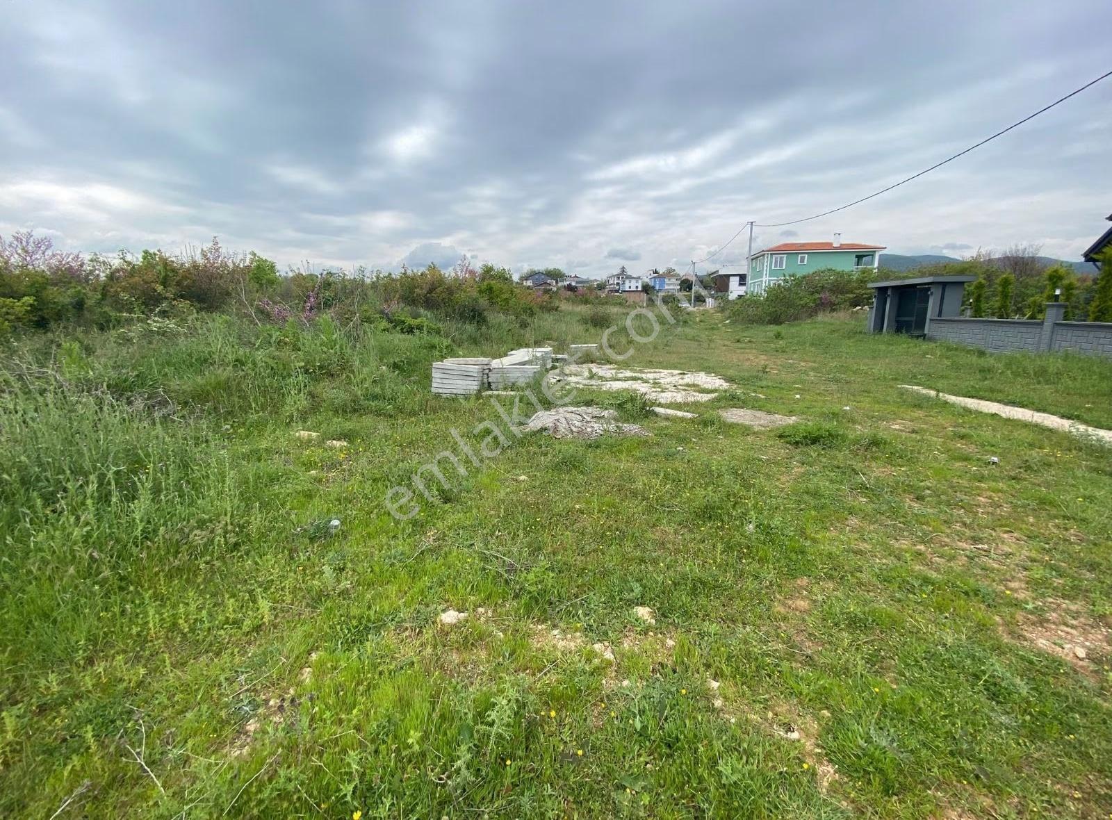 Yalova Çınarcık Çalıca Deniz Gören Villa İmarlı Arsa - Görsel 8
