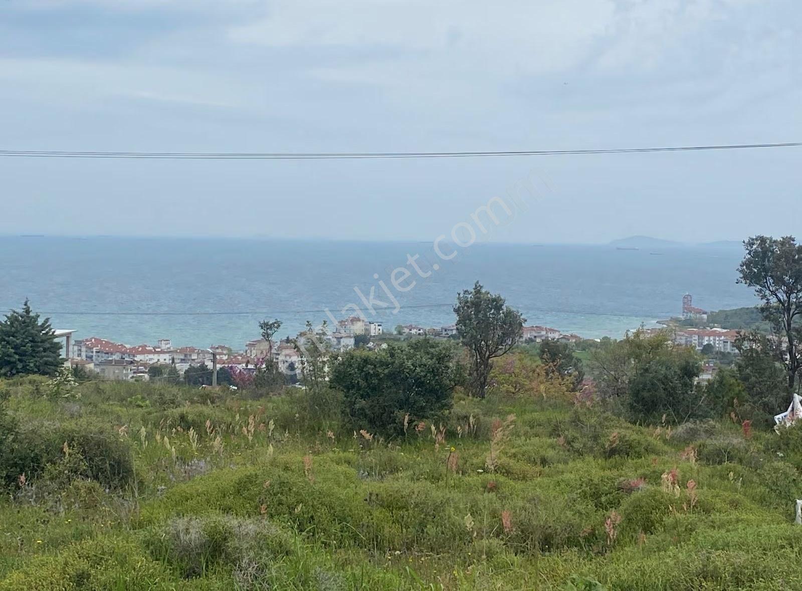 Yalova Çınarcık Çalıca Deniz Gören Villa İmarlı Arsa - Görsel 9