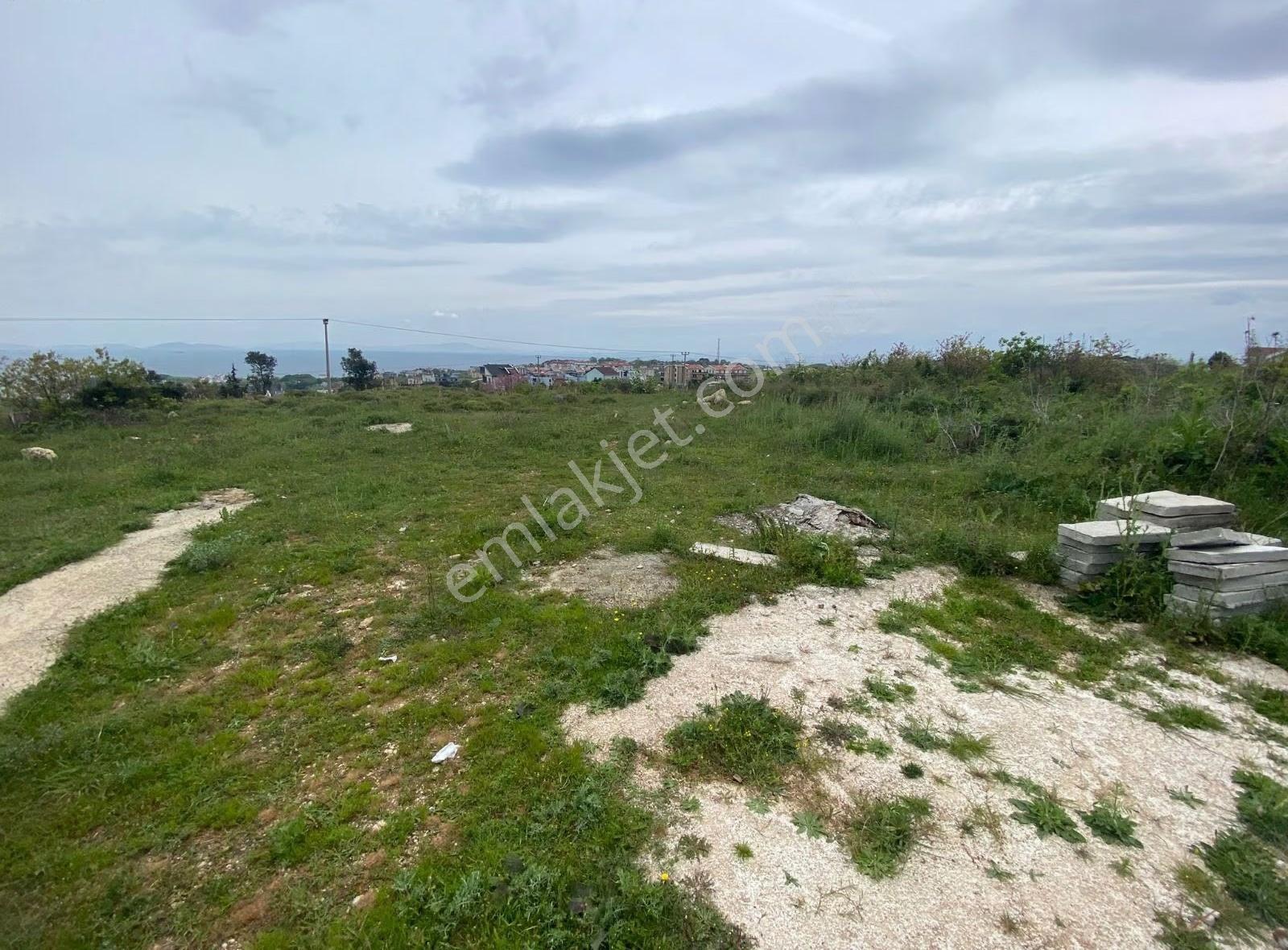 Yalova Çınarcık Çalıca Deniz Gören Villa İmarlı Arsa - Görsel 7