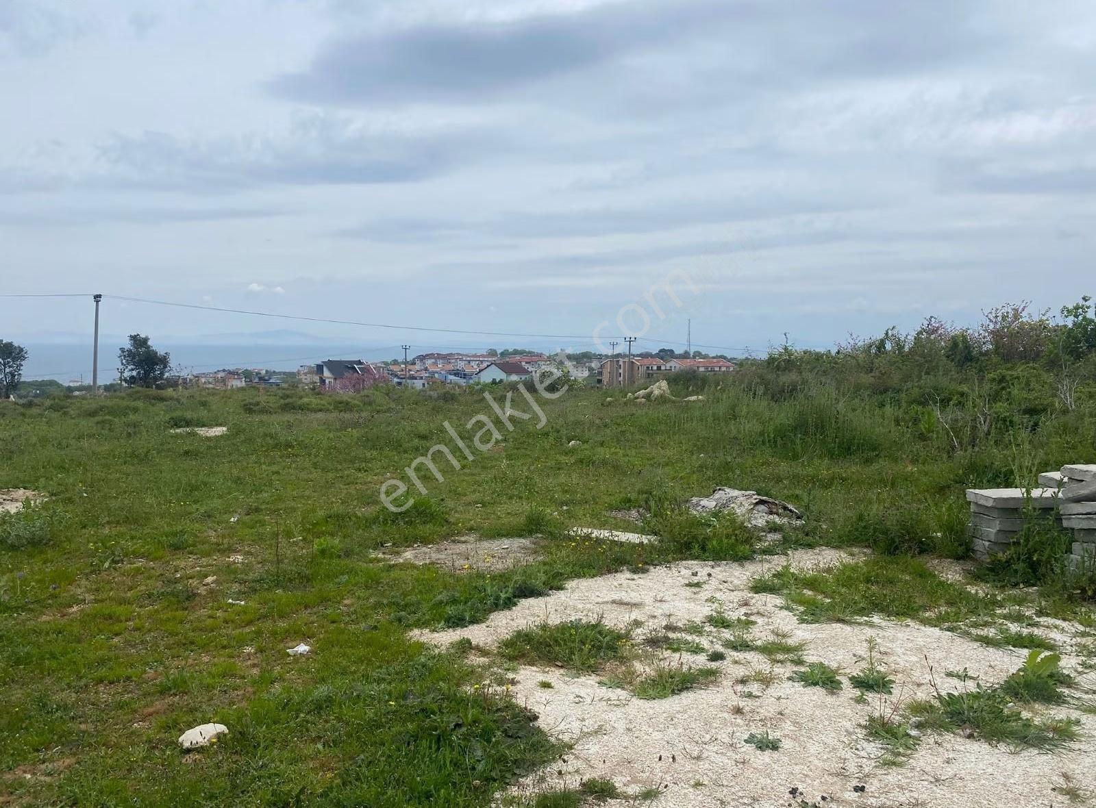 Yalova Çınarcık Çalıca Deniz Gören Villa İmarlı Arsa - Görsel 6
