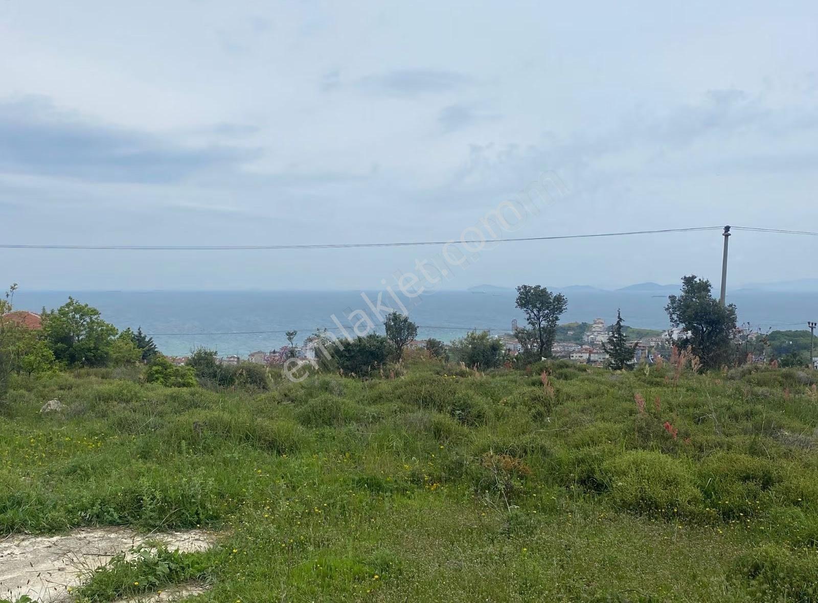 Yalova Çınarcık Çalıca Deniz Gören Villa İmarlı Arsa - Görsel 19