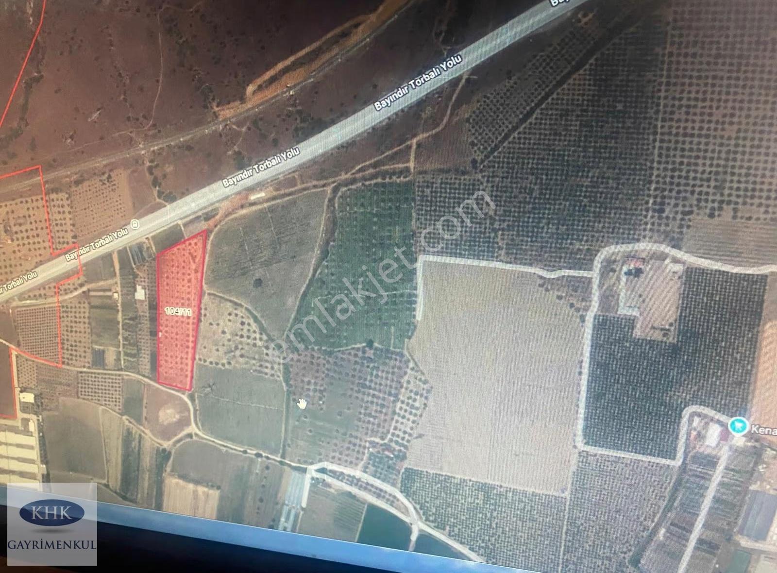 Torbalı/bayındır Yolu Üzerinde Satılık 15 Dönüm Zeytinlik - Görsel 3