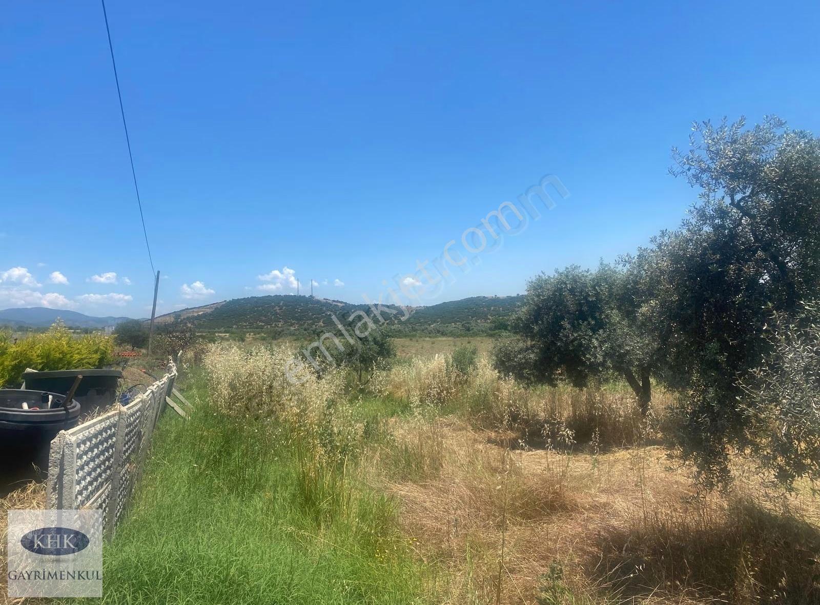 Torbalı/bayındır Yolu Üzerinde Satılık 15 Dönüm Zeytinlik - Görsel 8