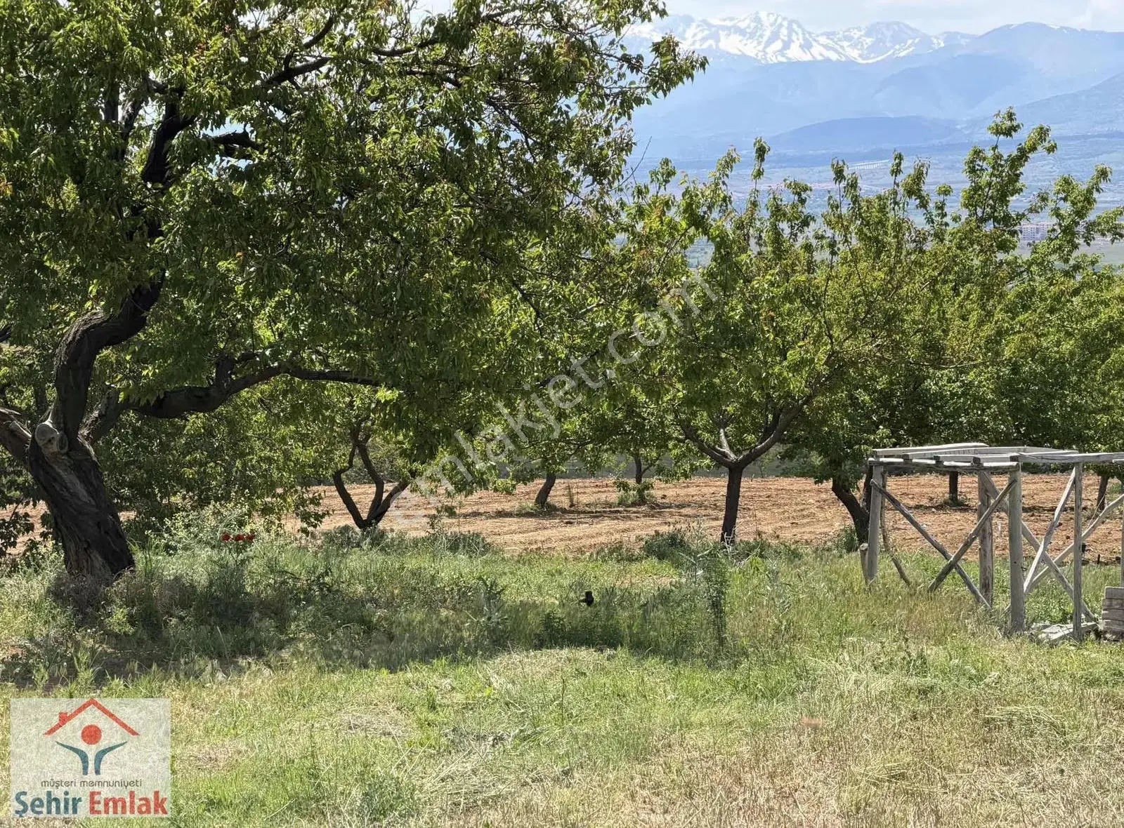 Doğanşehir Gölefar Da Satılık Arazi Bahçe