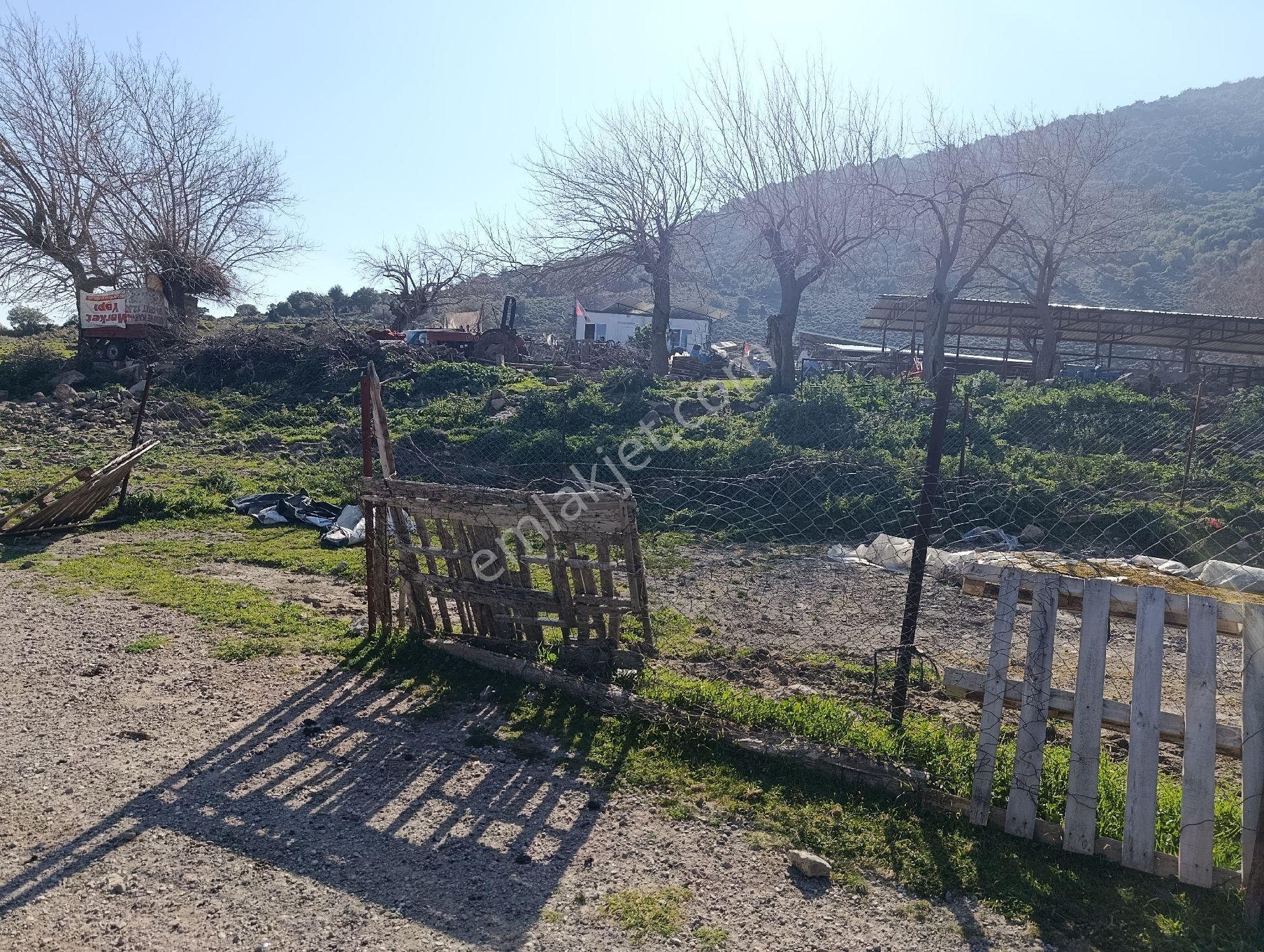Menemen Eski Hasanlar Köyü Satılık 191 M2 Müstakil Tapu Bahçe - Görsel 10