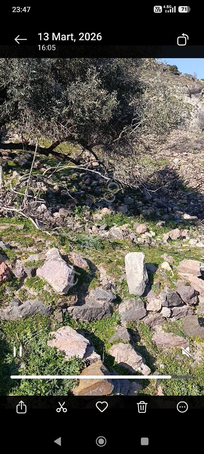 Menemen Eski Hasanlar Köyü Satılık 191 M2 Müstakil Tapu Bahçe - Görsel 5
