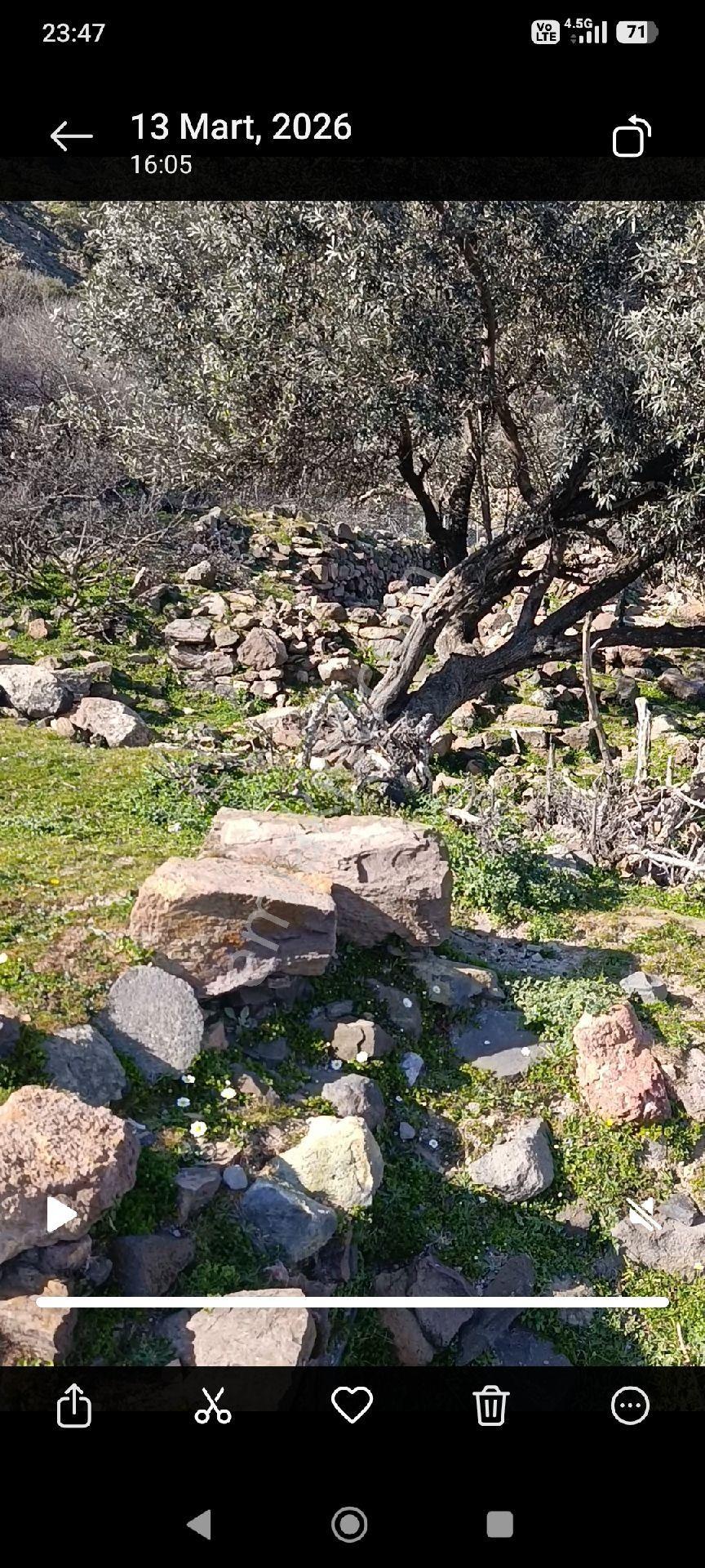 Menemen Eski Hasanlar Köyü Satılık 191 M2 Müstakil Tapu Bahçe - Görsel 6