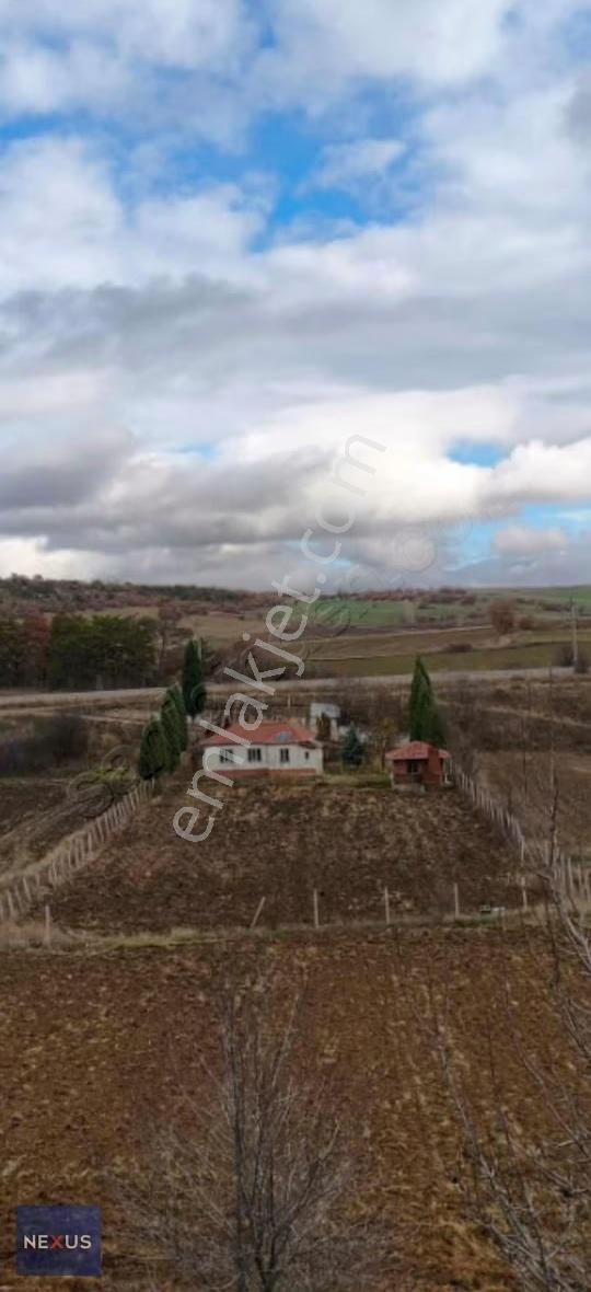 Bilecik Bozüyük Satlık 843 Metre Arsa - Görsel 2