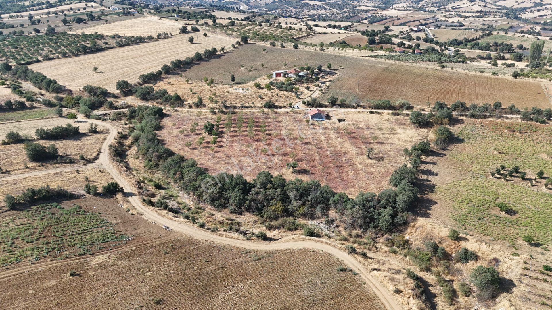 Manisa Kula Bebeklide 11,5 Dönüm Ev Bademlik Çiftlik Su Elektrik - Görsel 31
