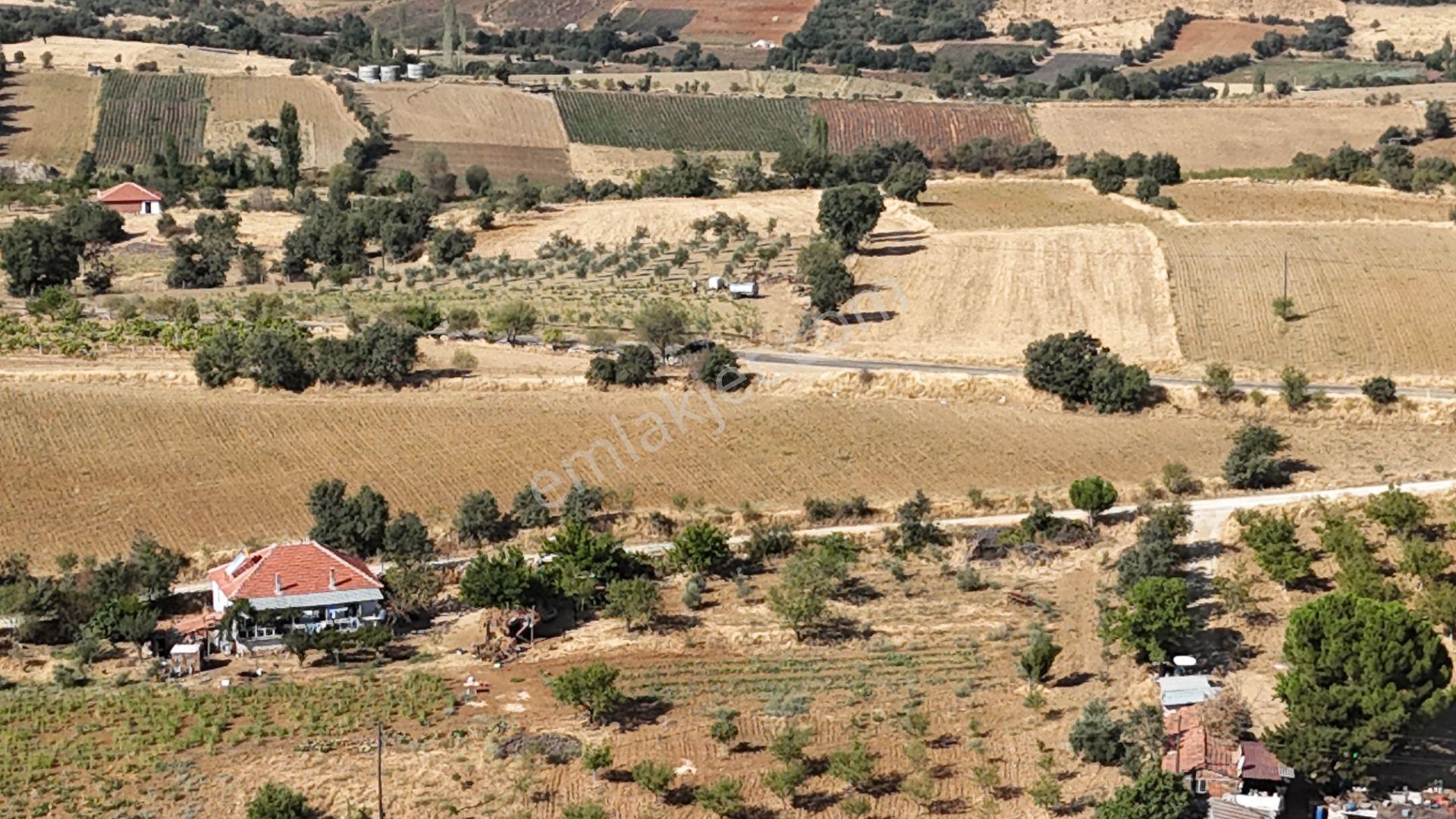 Manisa Kula Bebeklide 11,5 Dönüm Ev Bademlik Çiftlik Su Elektrik - Görsel 25