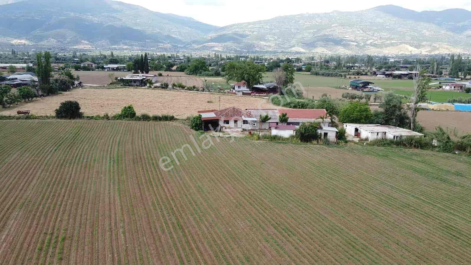 İzmir Kiraz Şemsilerde Satılık Ev Ve Tarla