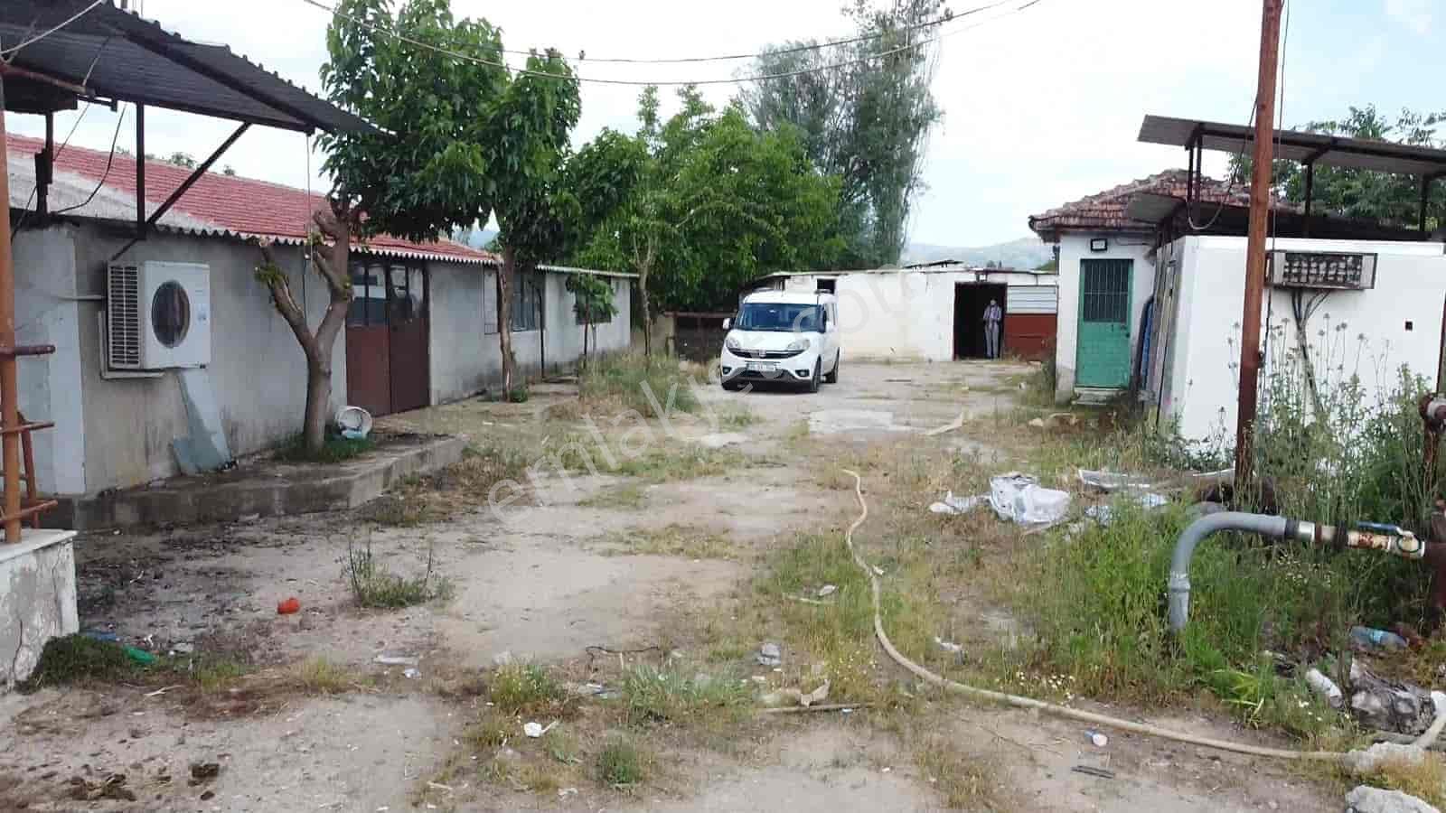İzmir Kiraz Şemsilerde Satılık Ev Ve Tarla - Görsel 9