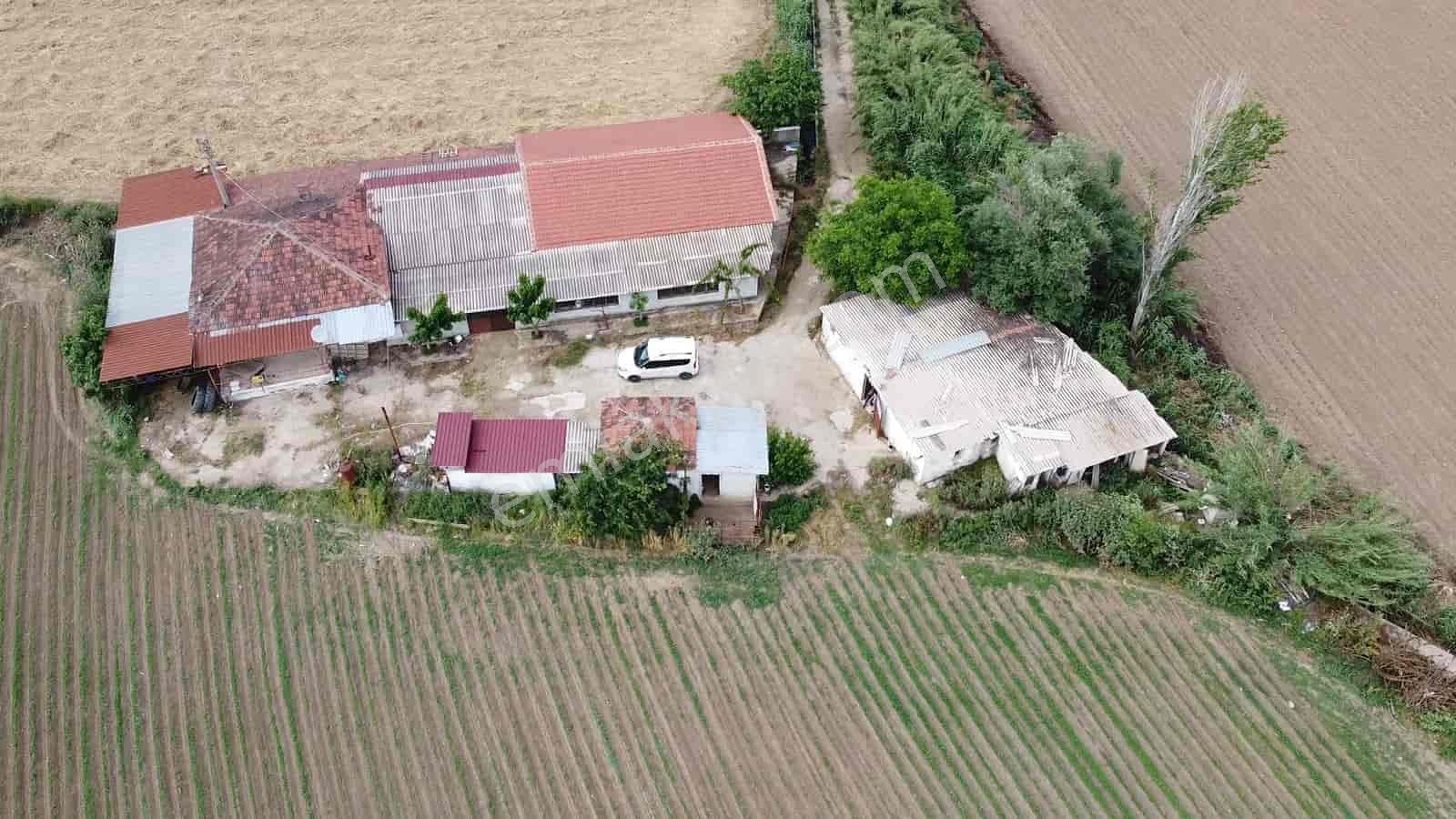 İzmir Kiraz Şemsilerde Satılık Ev Ve Tarla - Görsel 5