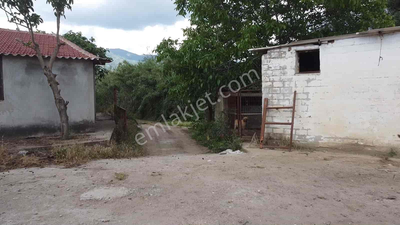 İzmir Kiraz Şemsilerde Satılık Ev Ve Tarla - Görsel 11