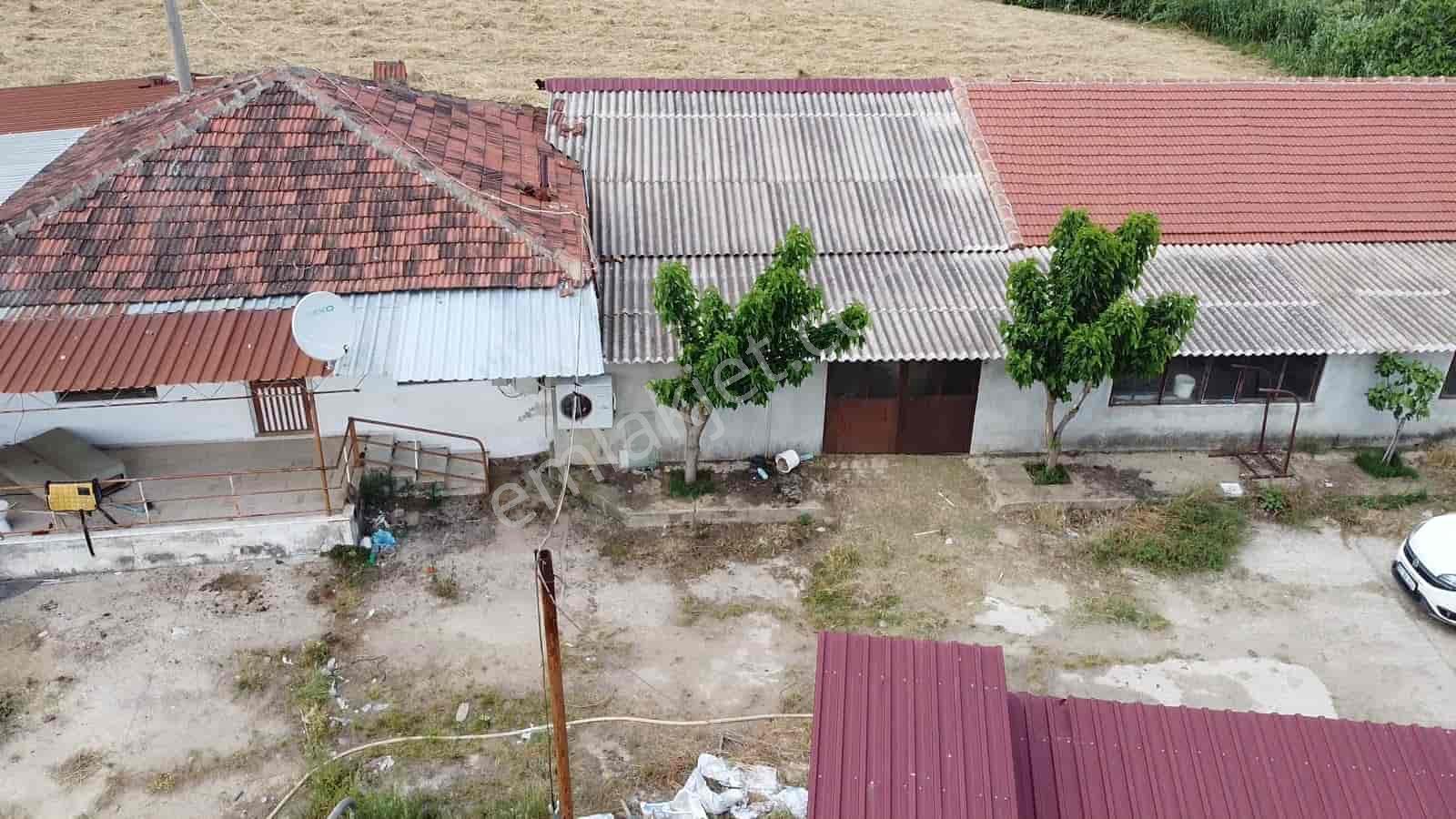 İzmir Kiraz Şemsilerde Satılık Ev Ve Tarla - Görsel 2