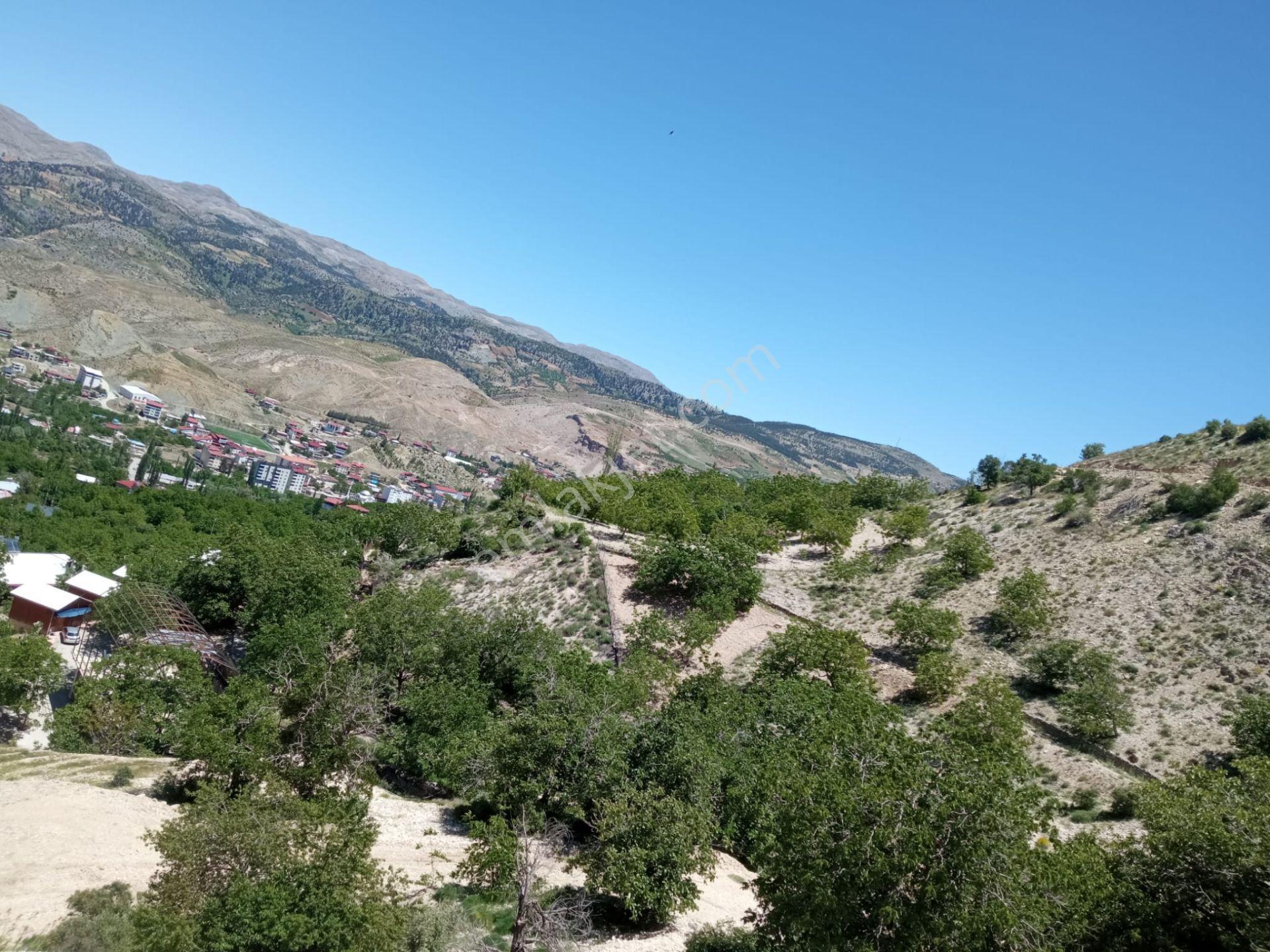 Sahibinden Satılık Bahçe - Görsel 6