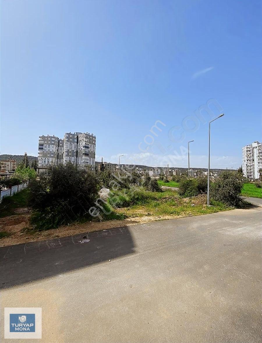 Aydoğmuş Da Köşe Başı Arsa - Görsel 6
