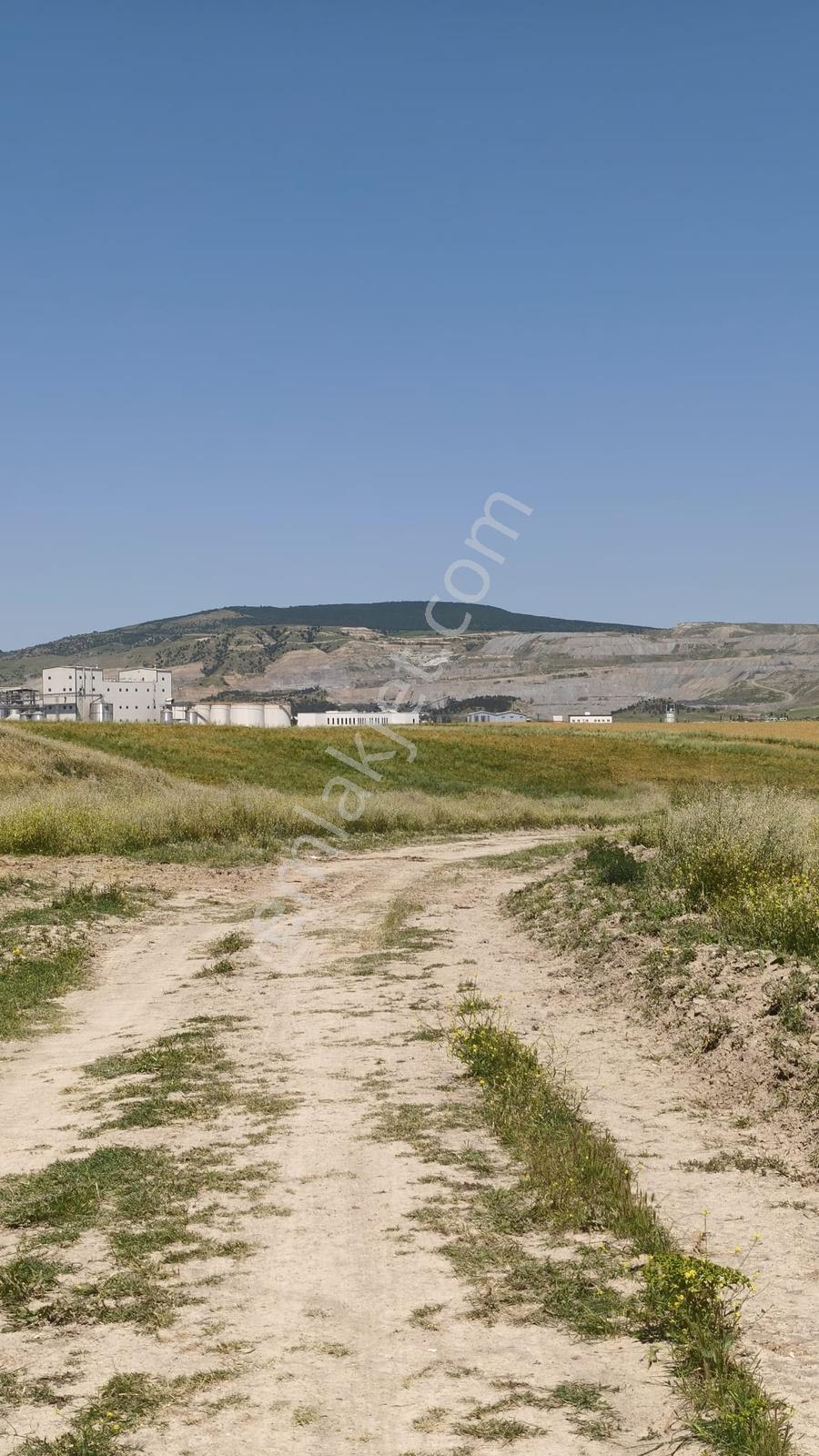 Mabelden Suluova Osb De Yatırımlık Satılık Tarla - Görsel 2