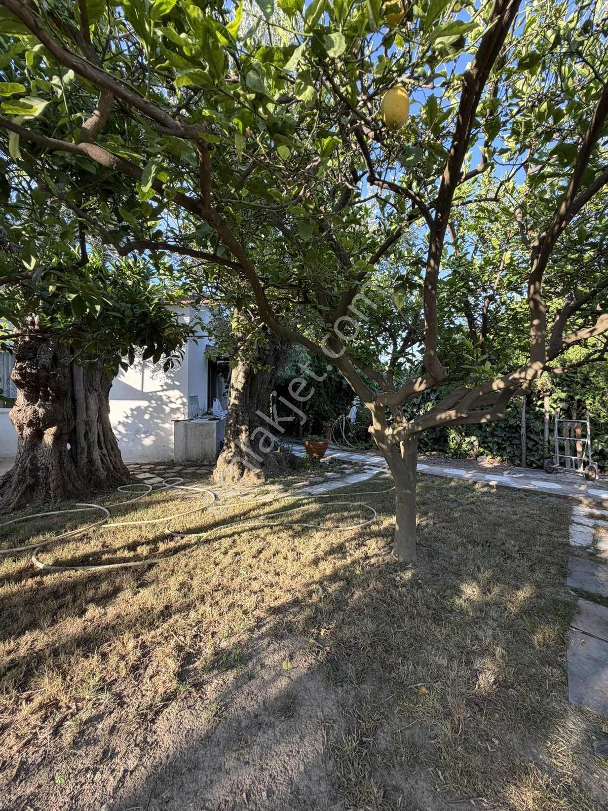 Yalı'da Meyve Ağaçlarıyla Çevrili Eşyalı 2+1 Kiralık Ev - Görsel 9