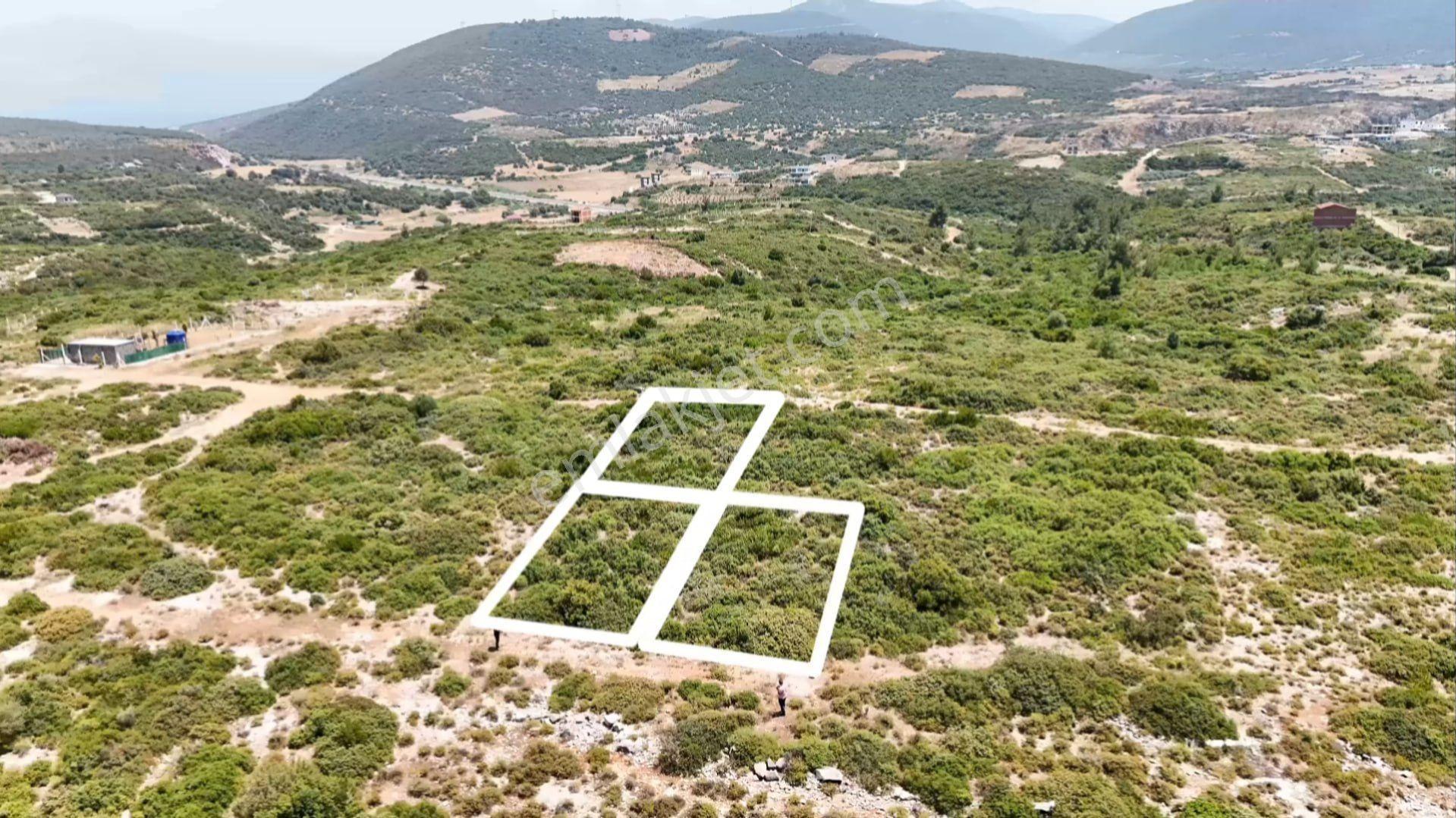 Didim Akyeniköy Bozseki Yanyana 300m2 Satılık 3 Parsel Elektirik Mevcut - Görsel 2