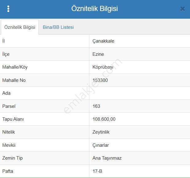 Çanakkale Ezine Köprübaşı'nda 108 Dönüm Dev Zeytinlik - Görsel 2