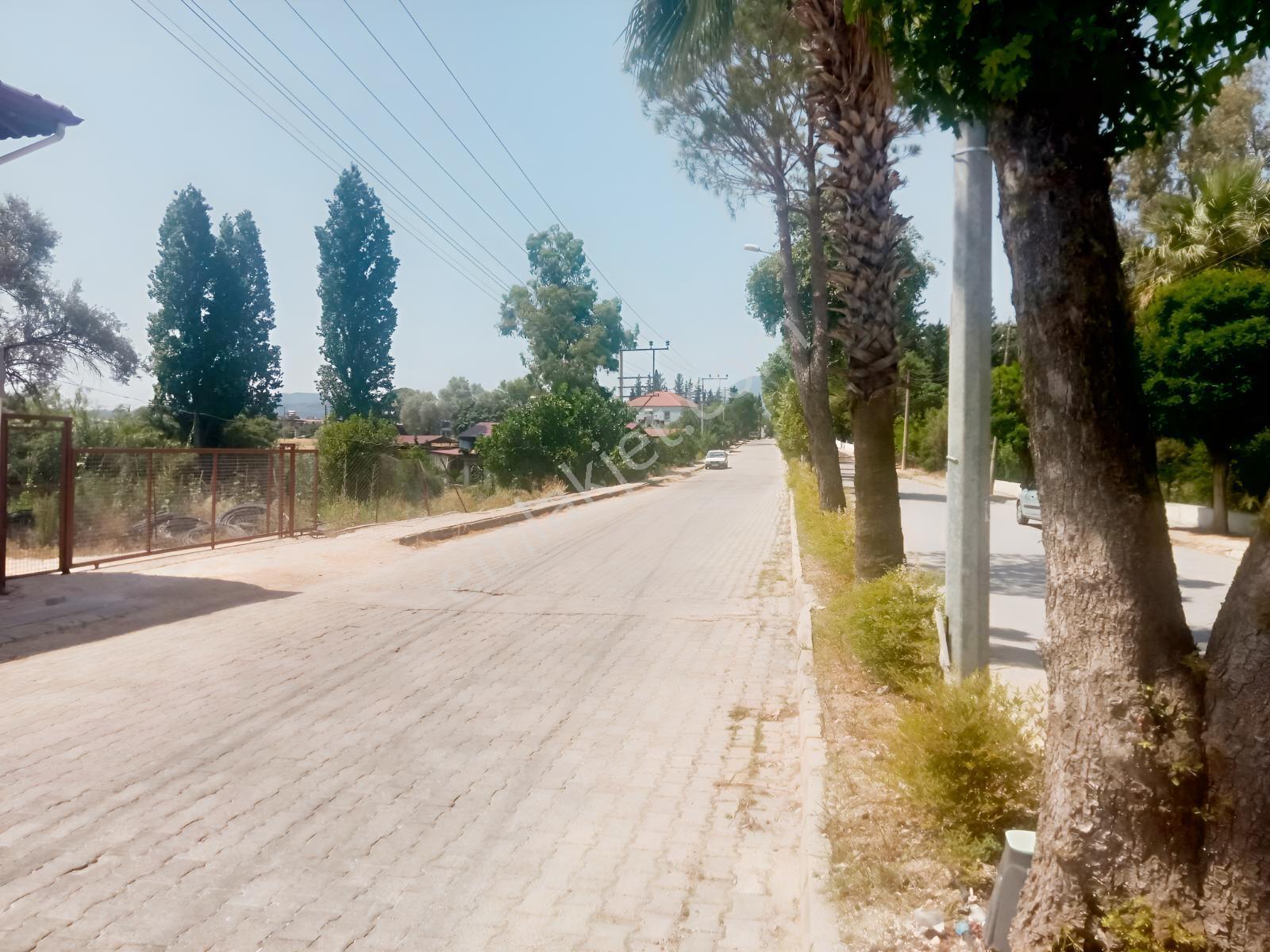 Falcon Dan Eşen De Fırsat 600m² İmarlı Arsa