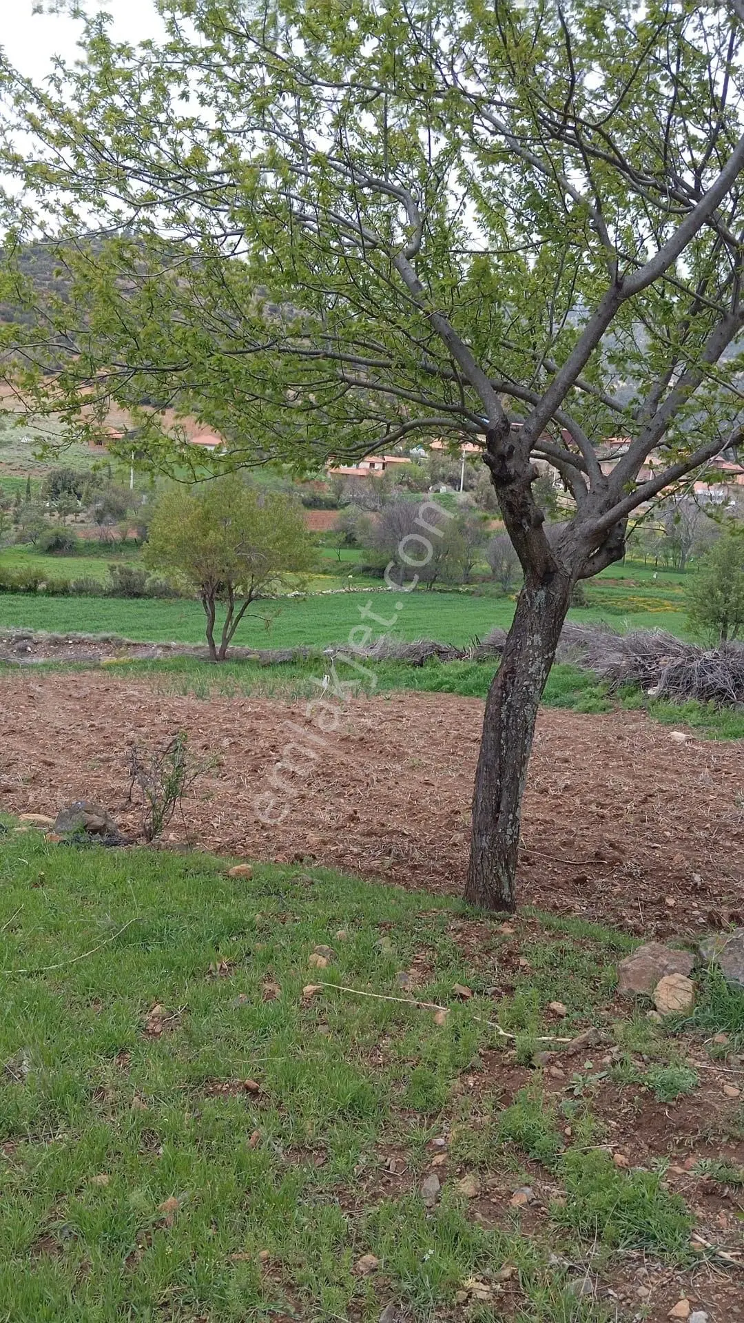 Burdur Yeşilova İğdir'de Yatırım Fırsatı! Tüm Altyapısı Hazır 500 M² Satılık Arsa - Görsel 4
