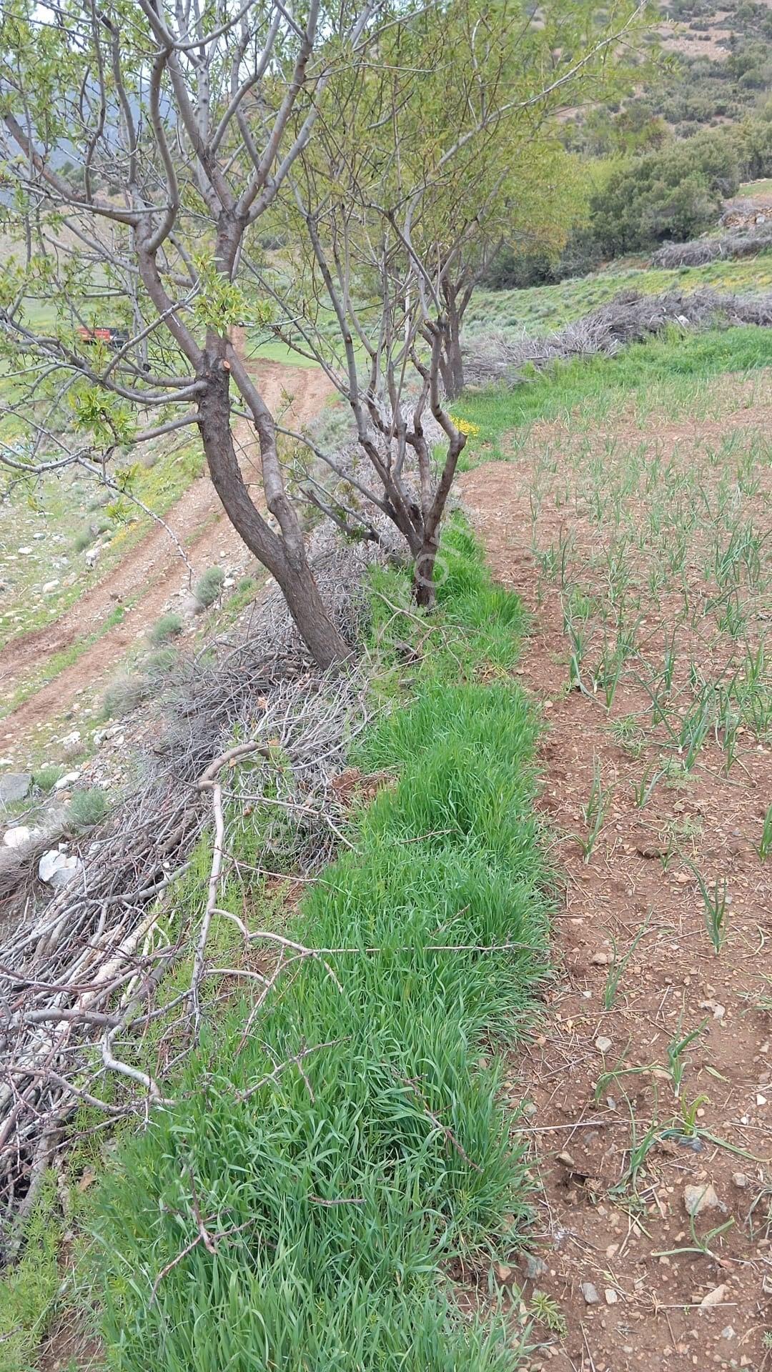 Burdur Yeşilova İğdir'de Yatırım Fırsatı! Tüm Altyapısı Hazır 500 M² Satılık Arsa - Görsel 3