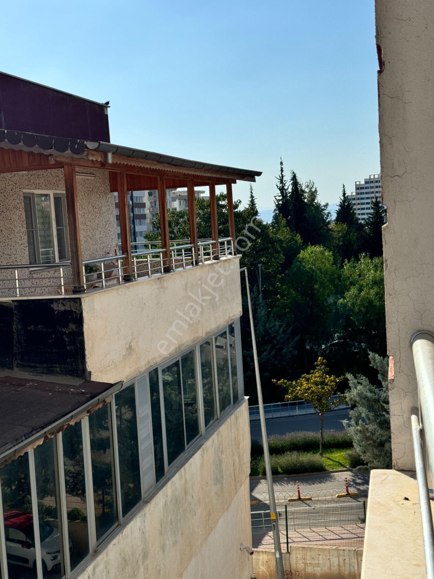 Babil Emlaktan Kiralık Üniversite Yanı Arakat 1+1 Stüdyo Daire - Görsel 13