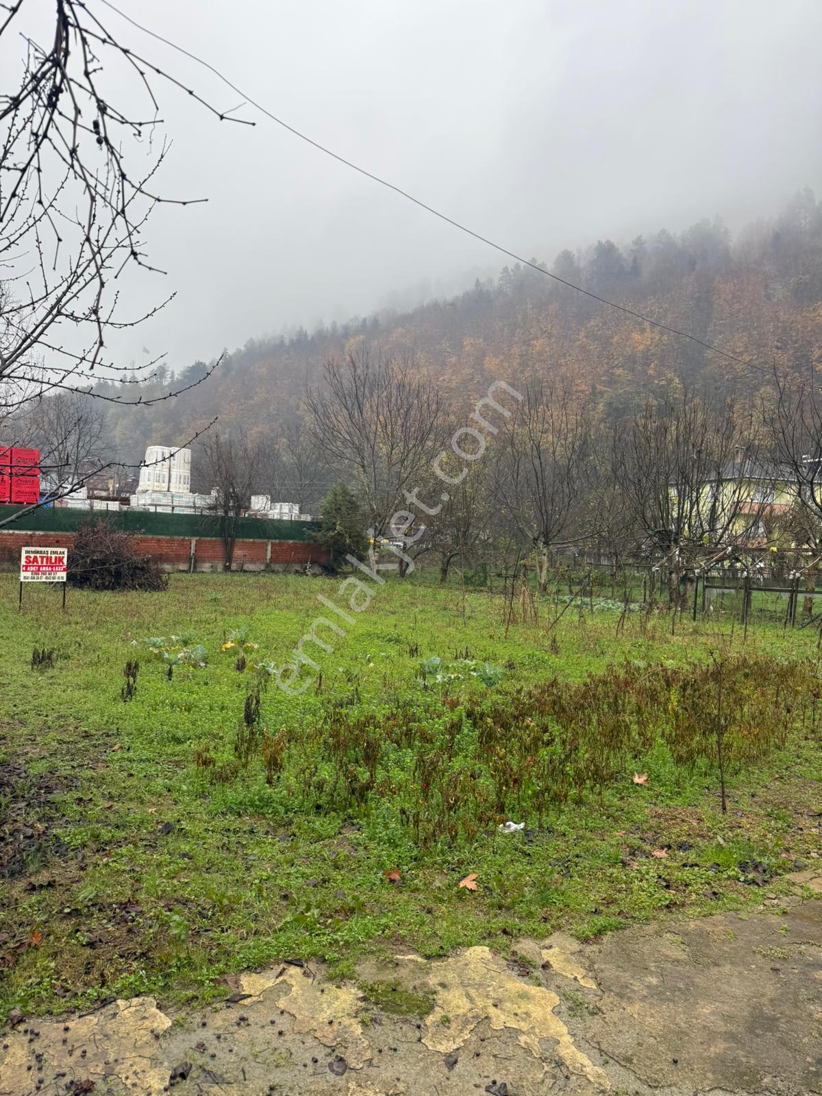 Sinop Erfelek Merkez Ana Yola Cepheli 3 Adet Satılık Arsa - Görsel 11