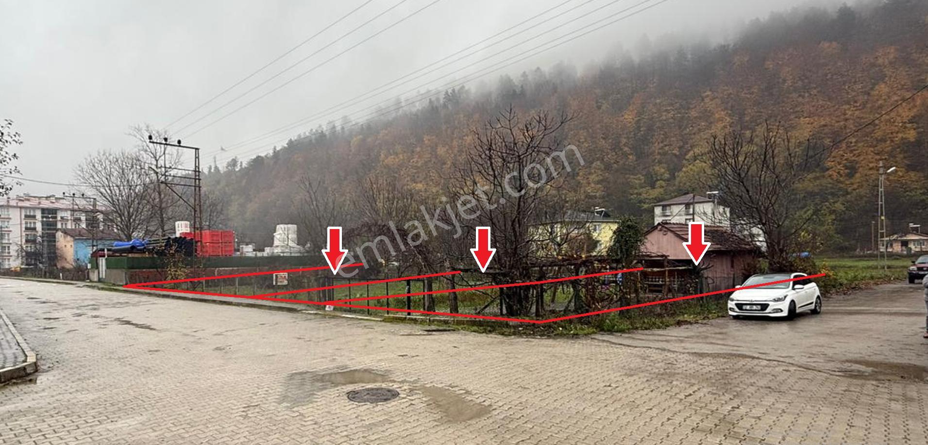 Sinop Erfelek Merkez Ana Yola Cepheli 3 Adet Satılık Arsa - Görsel 2