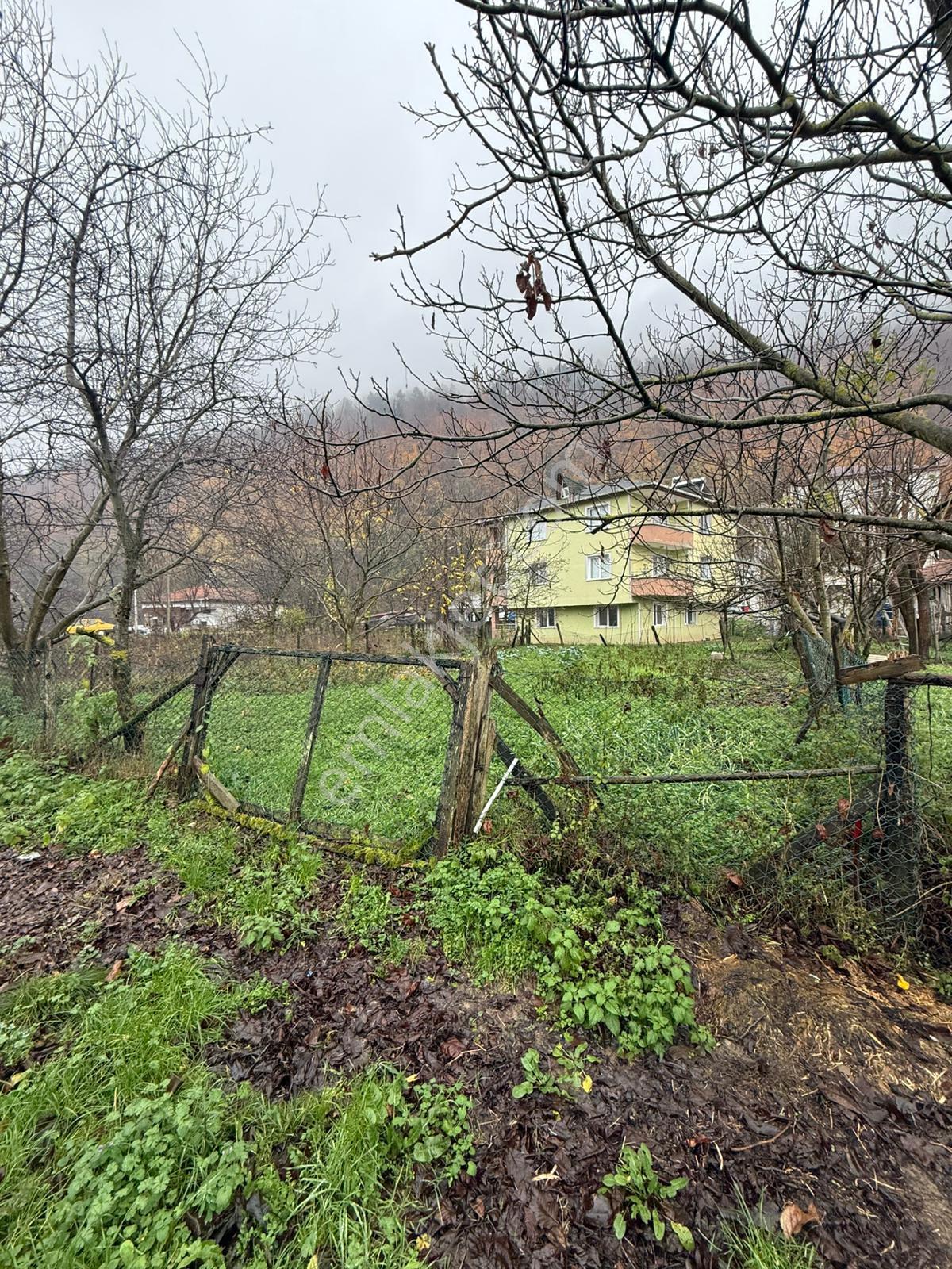 Sinop Erfelek Merkez Ana Yola Cepheli 3 Adet Satılık Arsa - Görsel 5