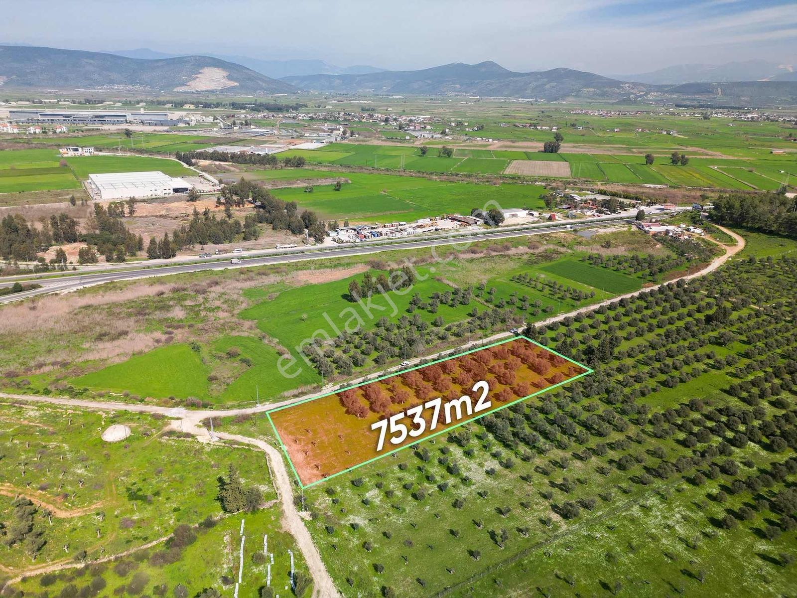 Satılık Bodrum Güllük Kavşağı Yakını Tarla - Görsel 6