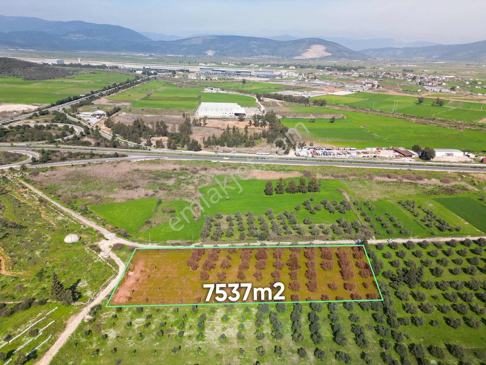 Satılık Bodrum Güllük Kavşağı Yakını Tarla - Görsel 2