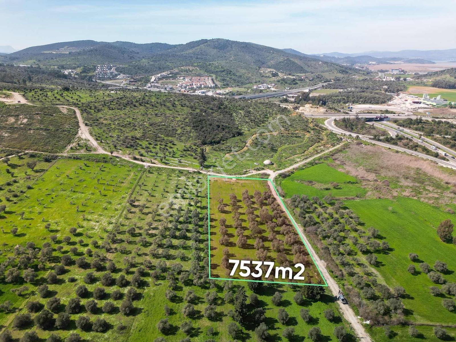 Satılık Bodrum Güllük Kavşağı Yakını Tarla - Görsel 4