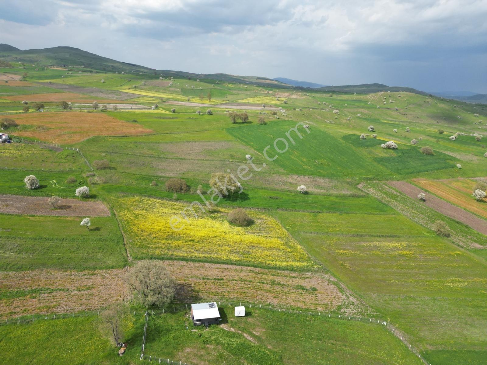 Ortaca - Karakol Arası Satılık 3.644 M² İki Tapu Yolu Olan Tarla - Görsel 4
