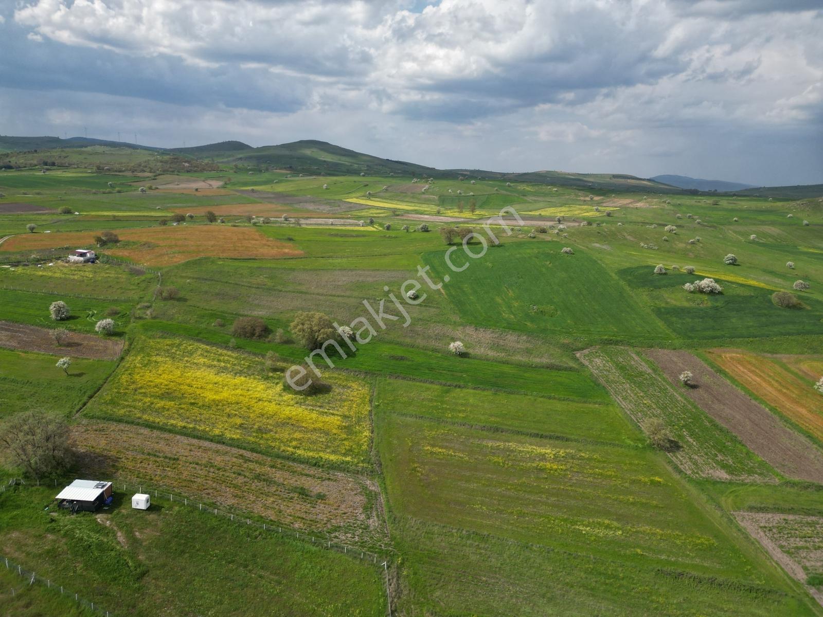 Ortaca - Karakol Arası Satılık 3.644 M² İki Tapu Yolu Olan Tarla - Görsel 9