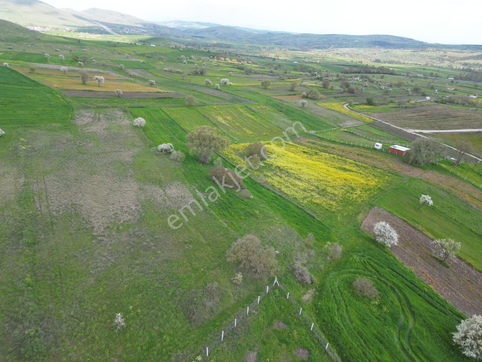 Ortaca - Karakol Arası Satılık 3.644 M² İki Tapu Yolu Olan Tarla - Görsel 10